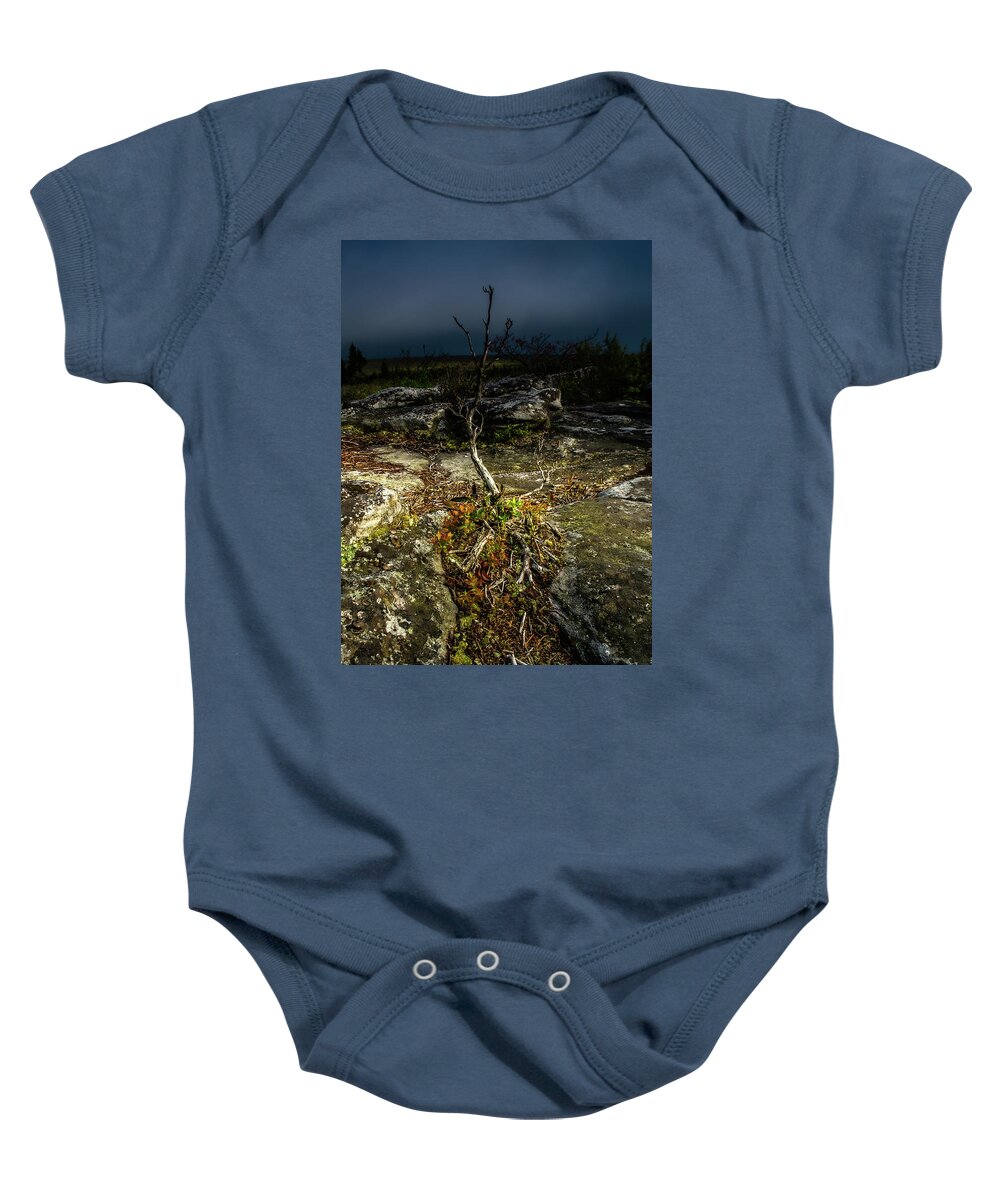 Landscape Baby Onesie featuring the photograph Weathered by Jason Funk