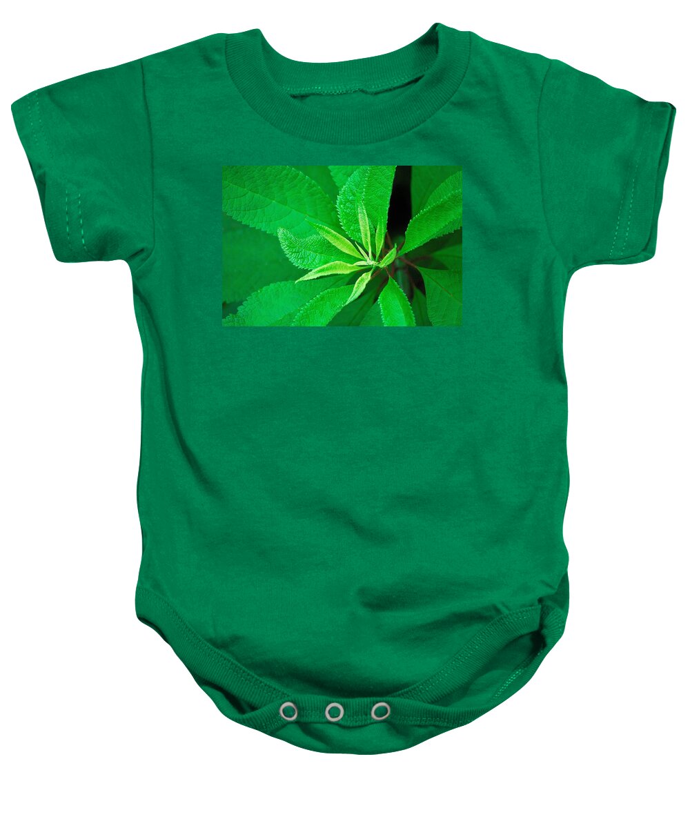 Green Baby Onesie featuring the photograph Green by Ludwig Keck