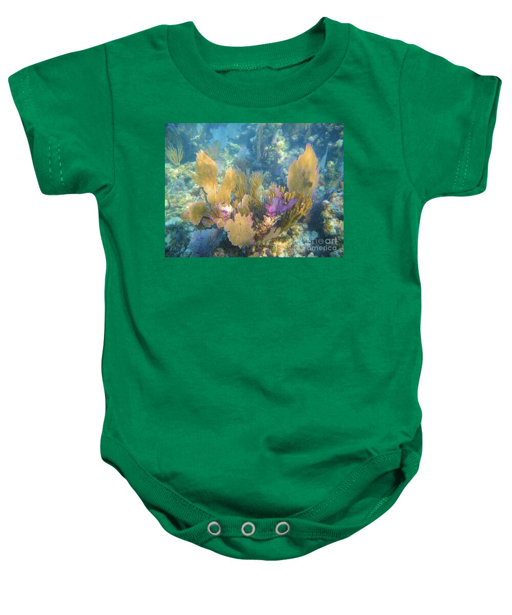 John Pennekamp State Park Baby Onesie featuring the photograph Rainbow Forest by Adam Jewell