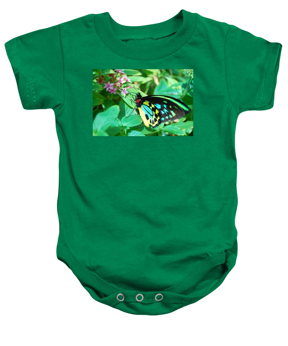 Flower Baby Onesie featuring the photograph Spotted Butterfly 2 by Amy Fose