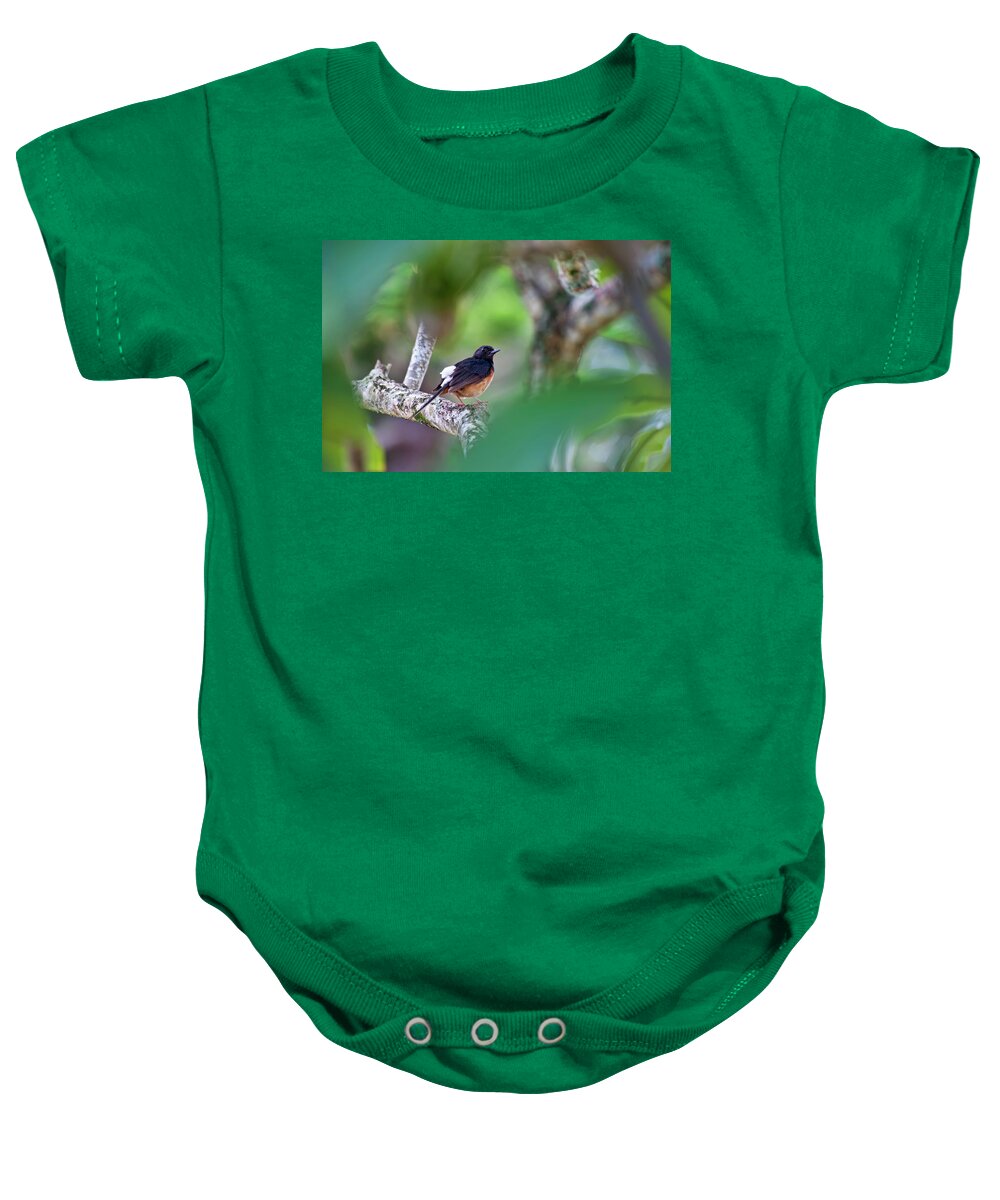 white Rumped Shama Baby Onesie featuring the photograph White-Rumped Shama by Dan McManus