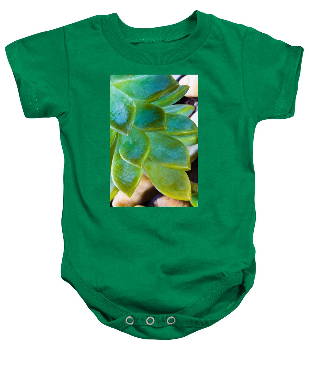 Beautiful Baby Onesie featuring the photograph Blue Pearl Plant by Raul Rodriguez
