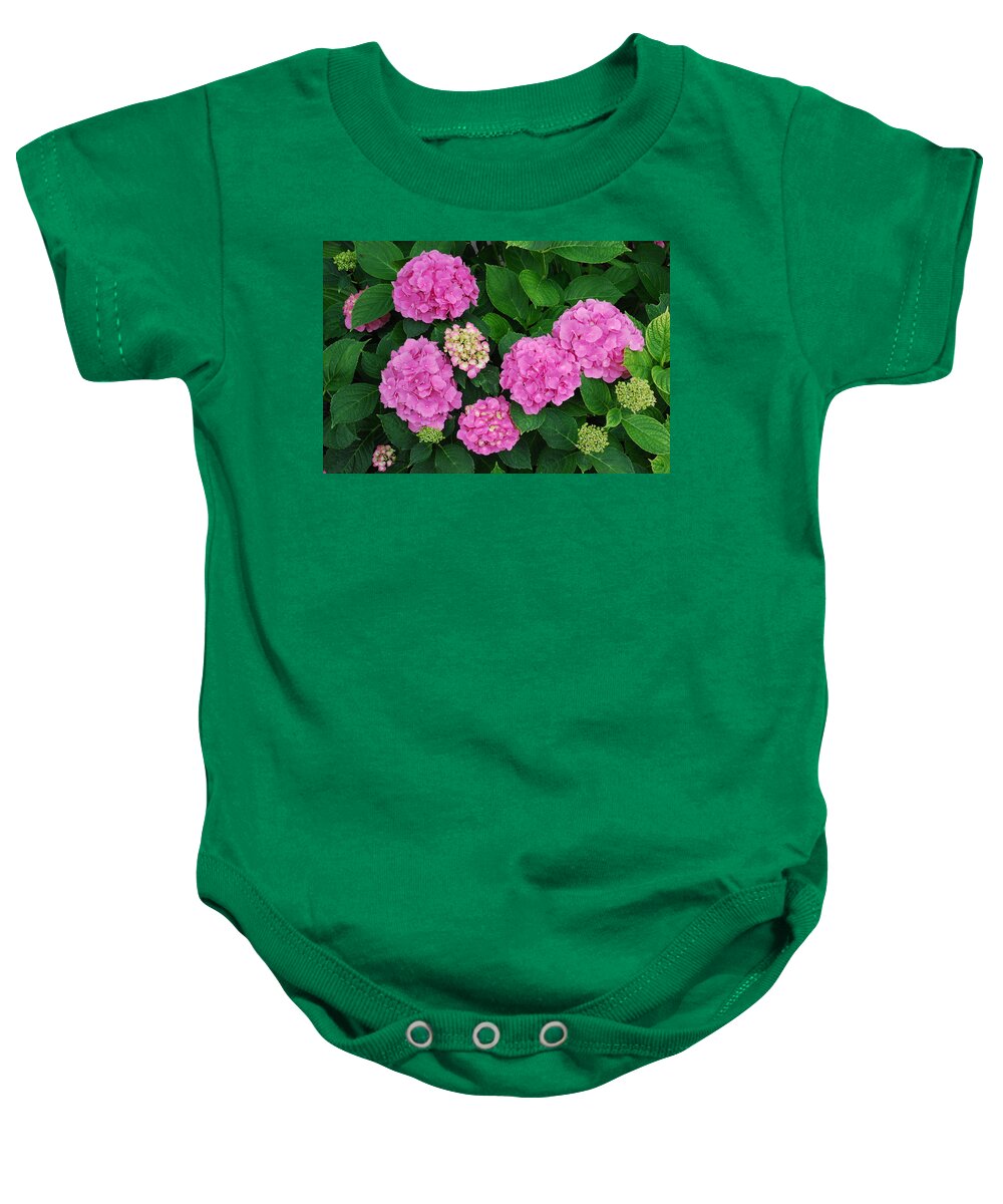 Pink Flowers Baby Onesie featuring the photograph Pink Annabelle Hydrangeas #2 by Ee Photography