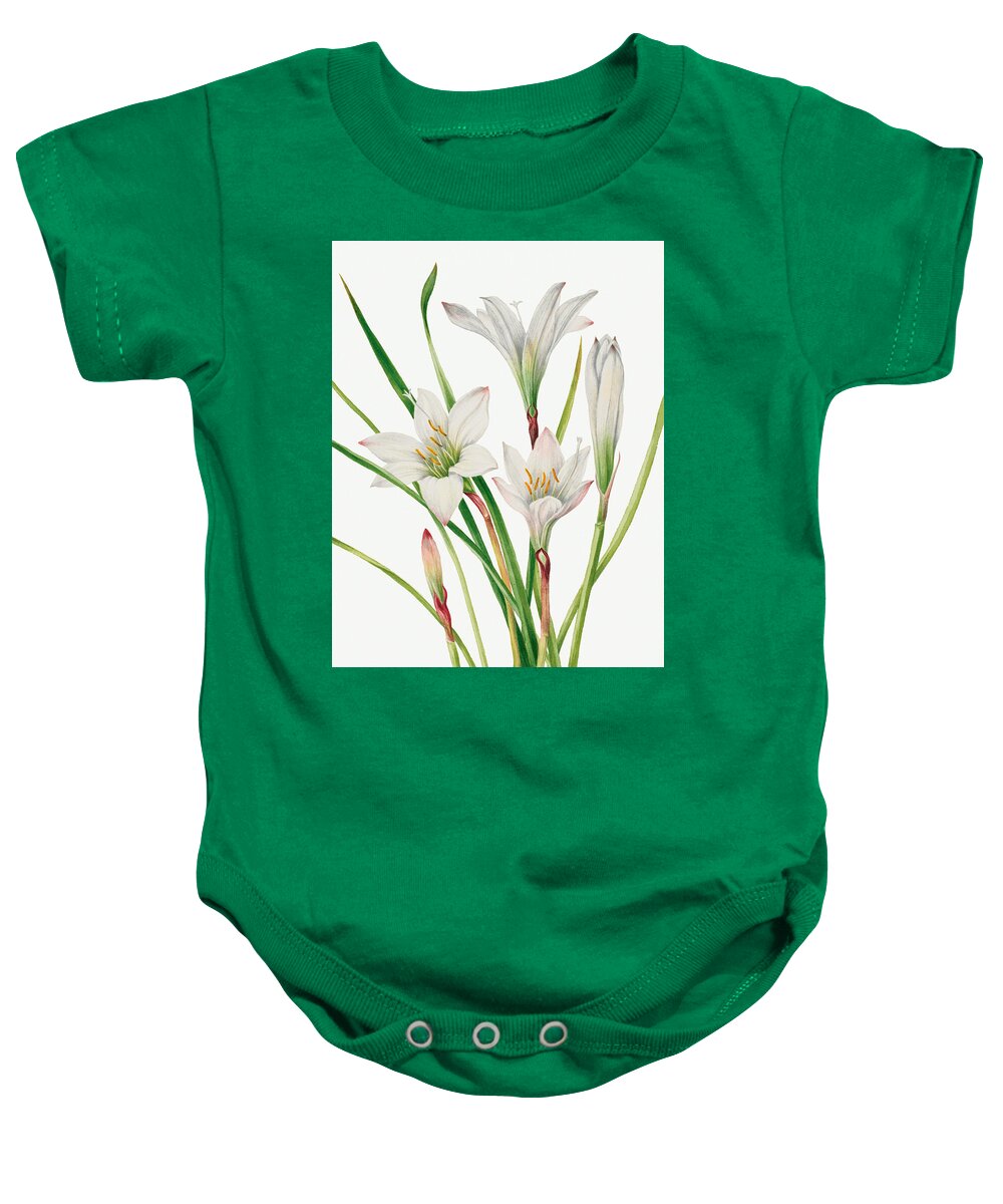 Atamasco Lily Baby Onesie featuring the painting Atamasco Lily. By Mary Vaux Walcott by World Art Collective