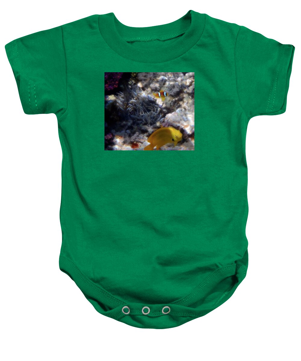 Clownfish Baby Onesie featuring the photograph Yellow Damsel And Red Sea Clownfish by Johanna Hurmerinta