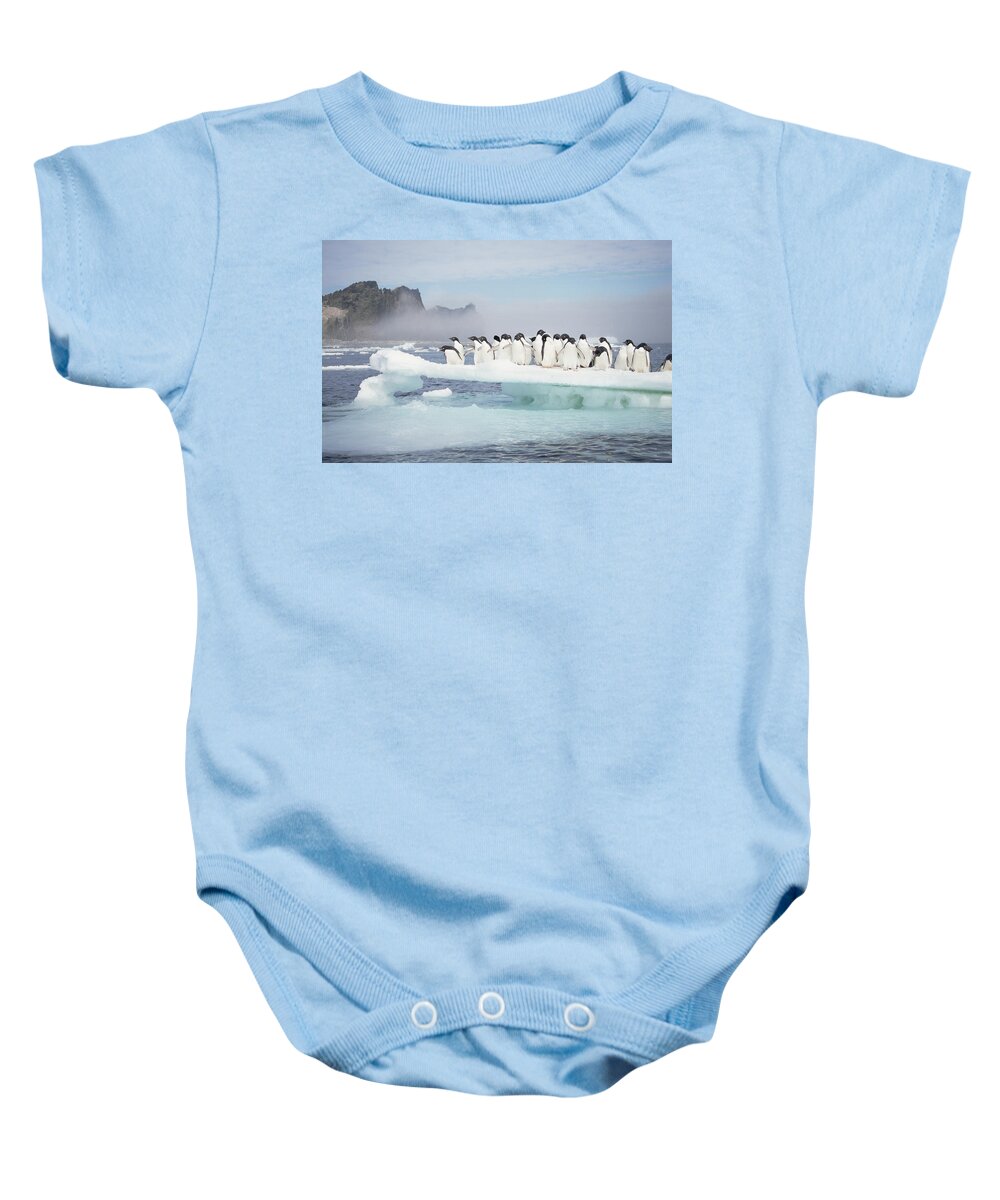 Feb0514 Baby Onesie featuring the photograph Adelie Penguins On Melting Ice Floe #1 by Tui De Roy