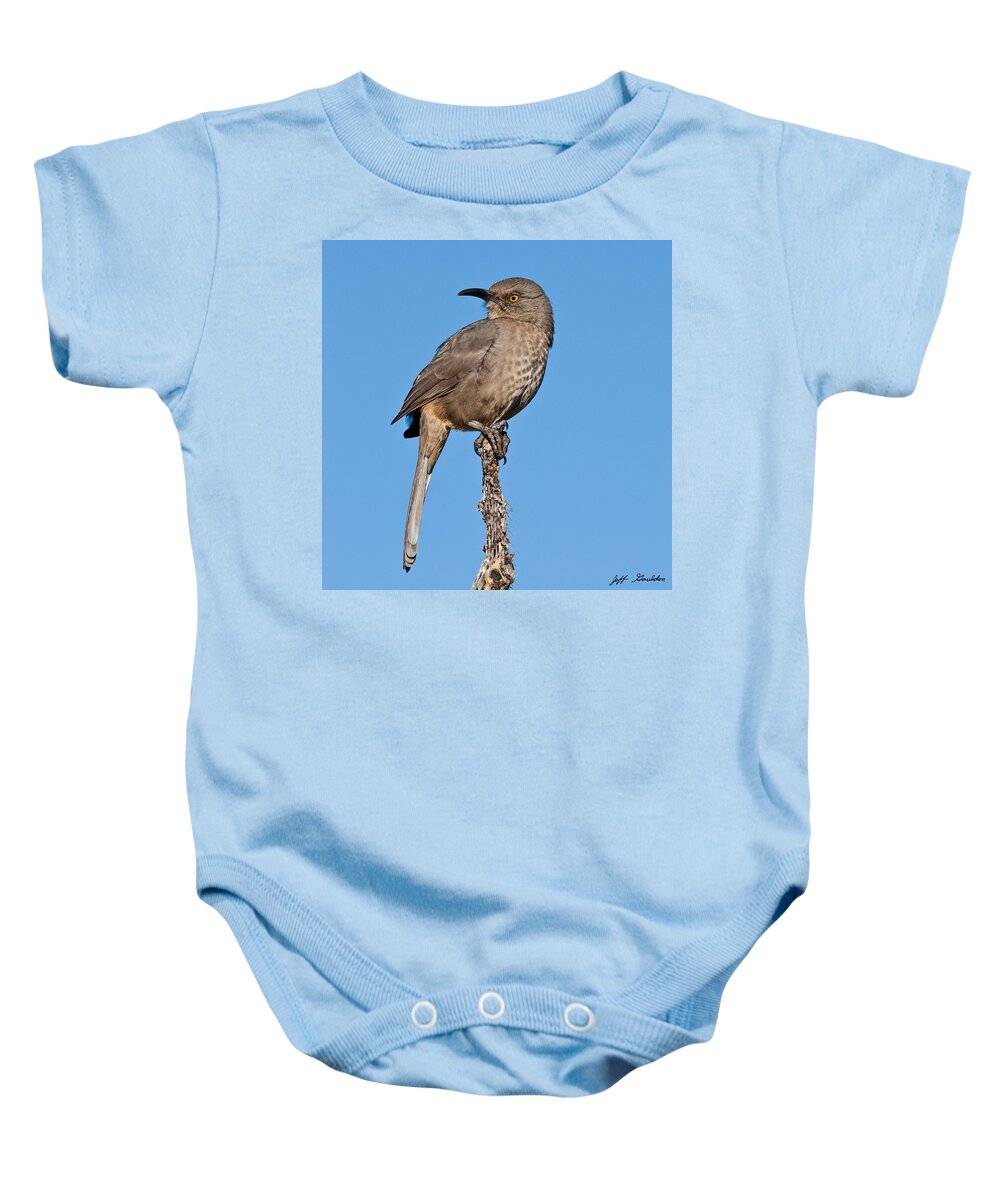 Animal Baby Onesie featuring the photograph Curve-Billed Thrasher #1 by Jeff Goulden