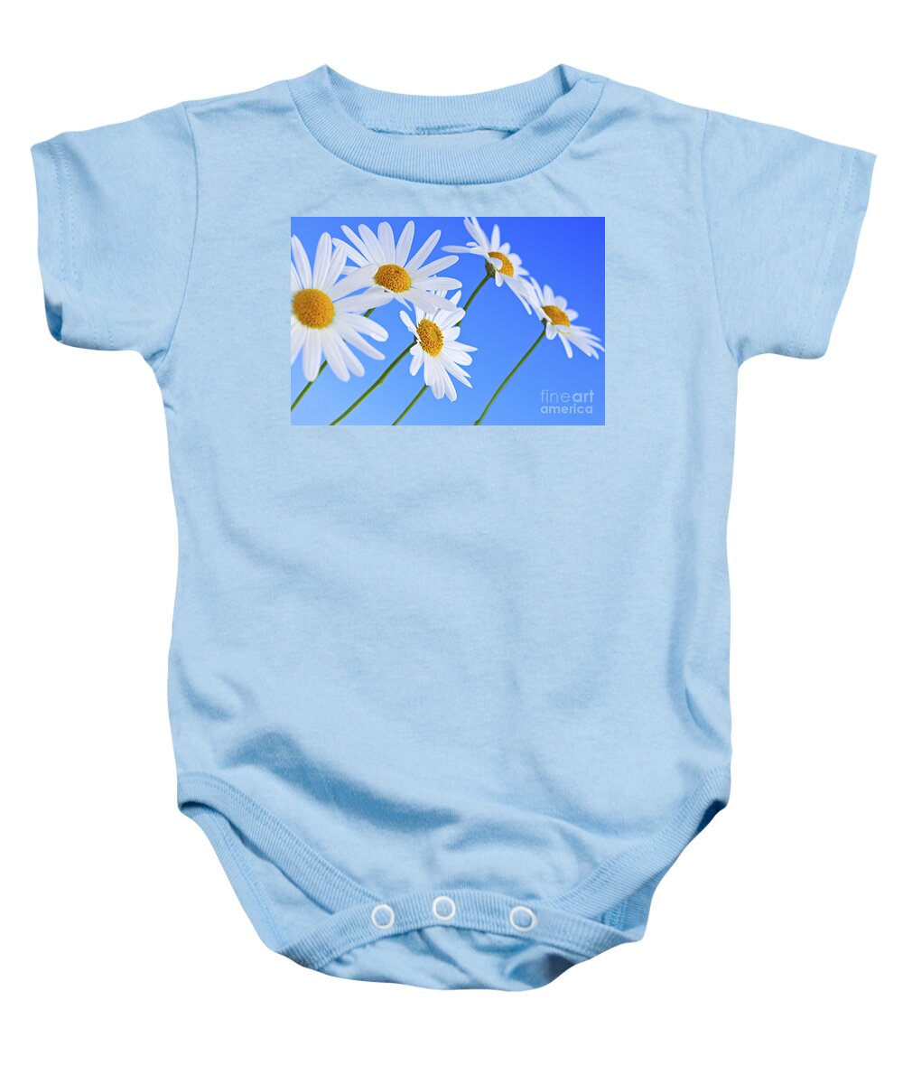 Daisy Baby Onesie featuring the photograph Daisy flowers on blue background by Elena Elisseeva