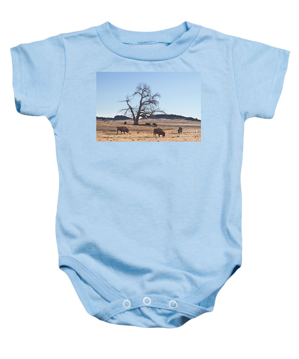 Buffalo Baby Onesie featuring the photograph Give Me A Home Where The Buffalo Roam #1 by James BO Insogna
