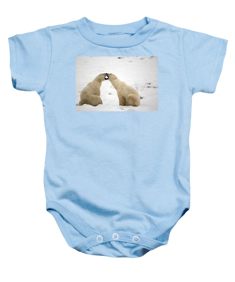 Day Baby Onesie featuring the photograph Polar Bears Play Fighting At Churchill #1 by Tom Soucek