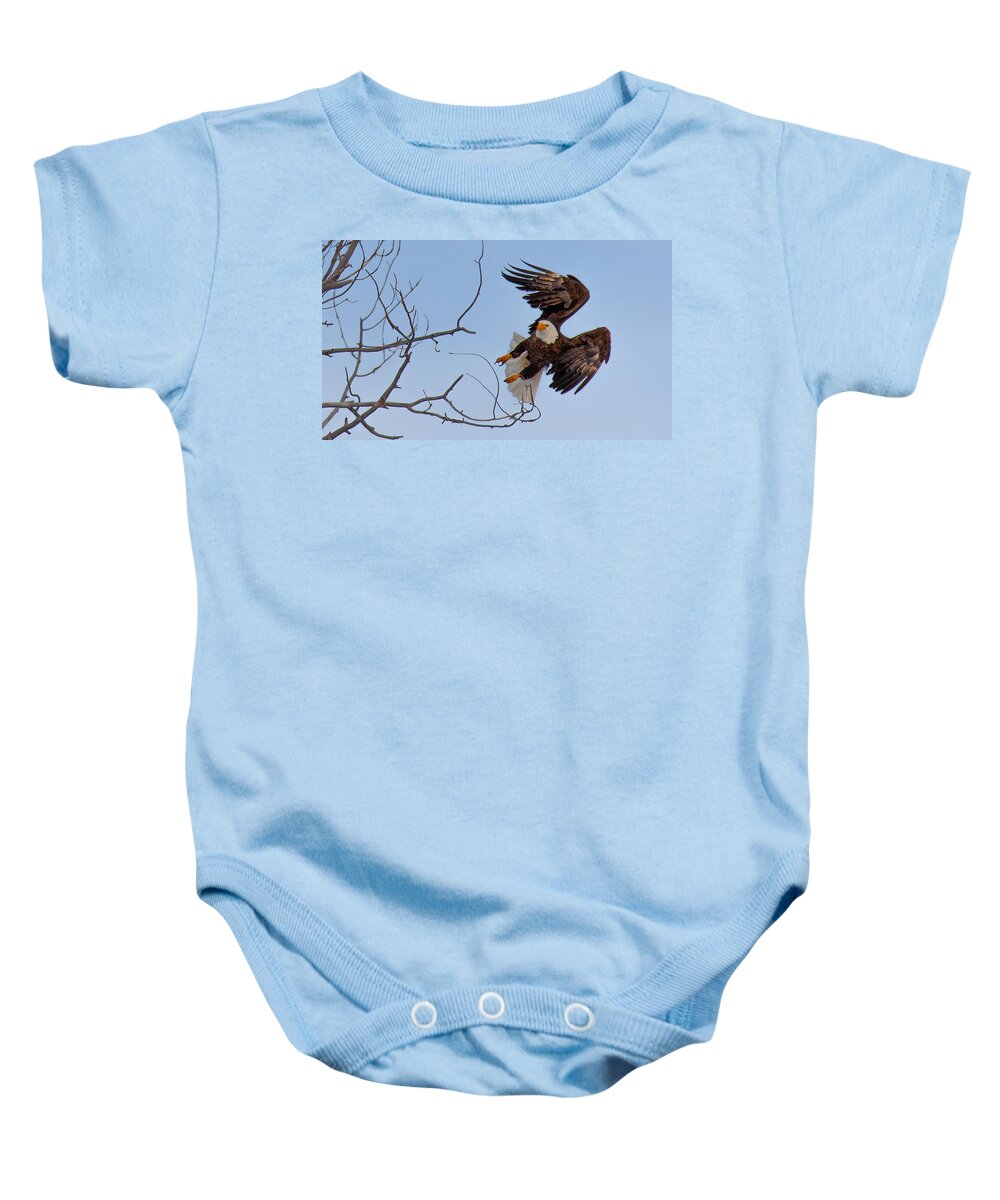 Bald Eagle Baby Onesie featuring the photograph Heron Hunter #2 by Kevin Dietrich