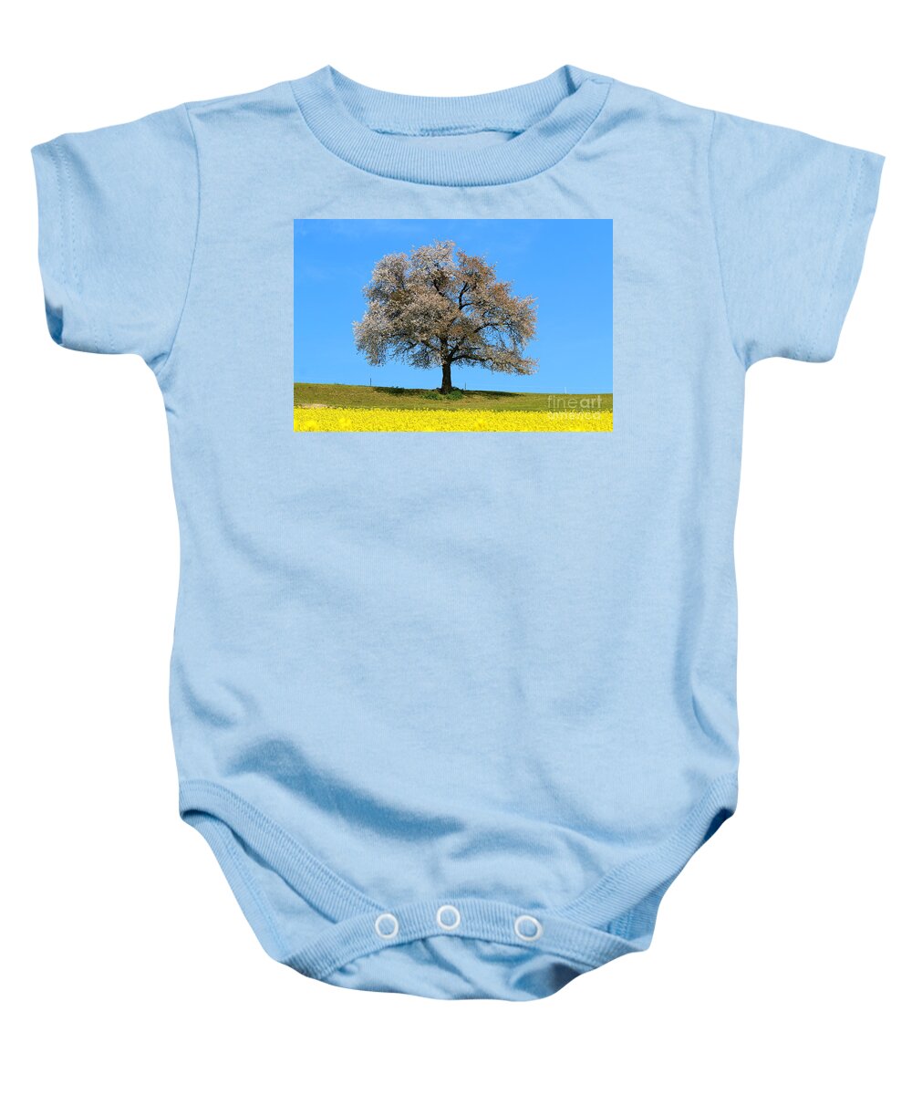  Agriculture Baby Onesie featuring the photograph A blooming lone Tree in Spring with canolas in front 2 by Amanda Mohler
