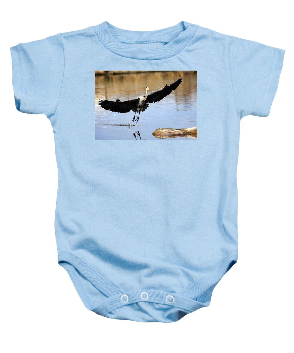 Great Blue Heron Baby Onesie featuring the photograph A Perfect Landing by Shane Bechler