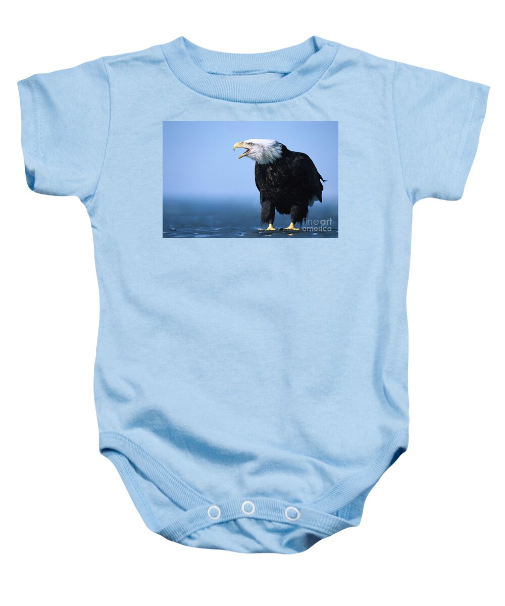 00343912 Baby Onesie featuring the photograph Bald Eagle Calling by Yva Momatiuk John Eastcott