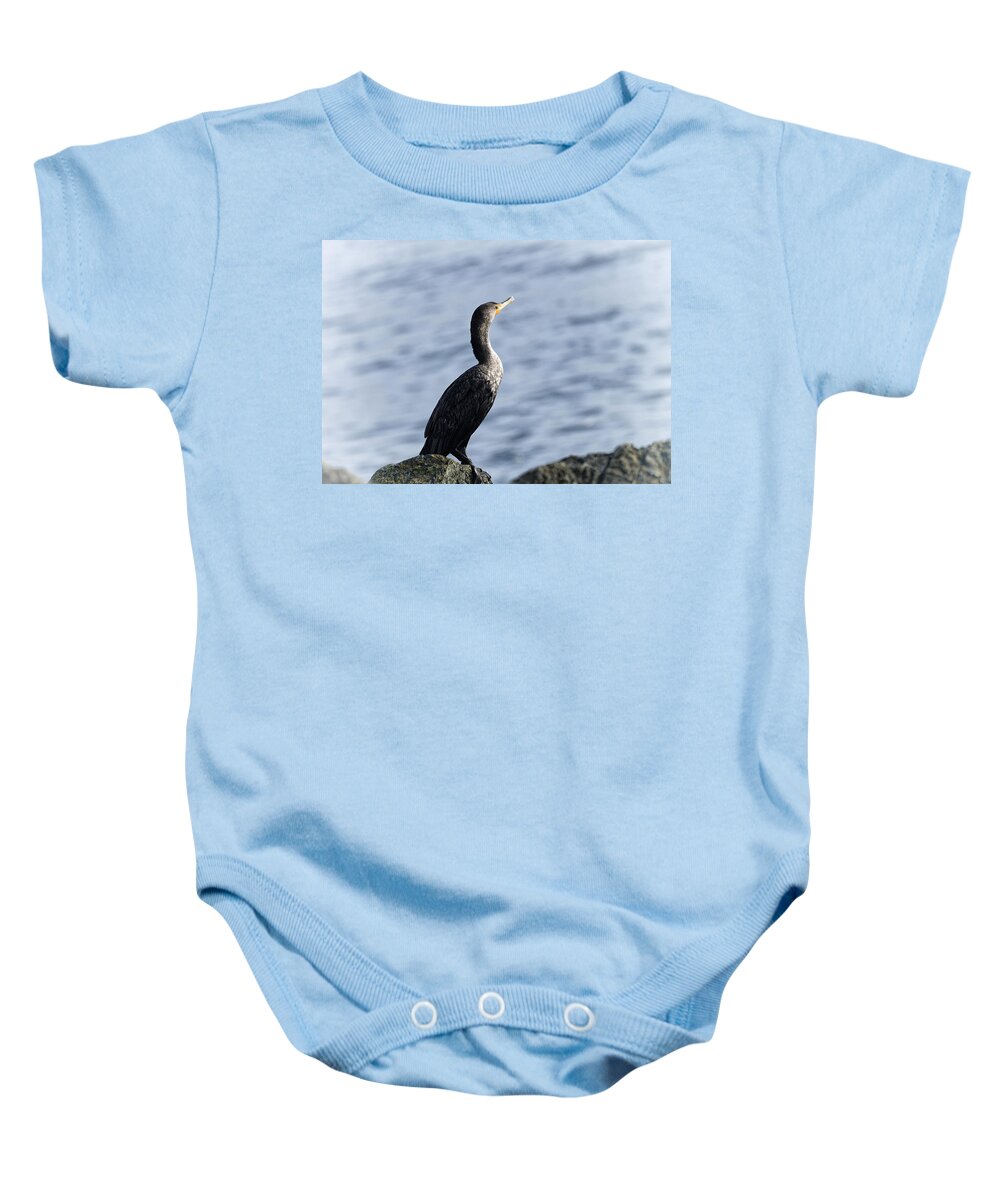 Cormorant Baby Onesie featuring the photograph Basking in the Light by Betty Depee