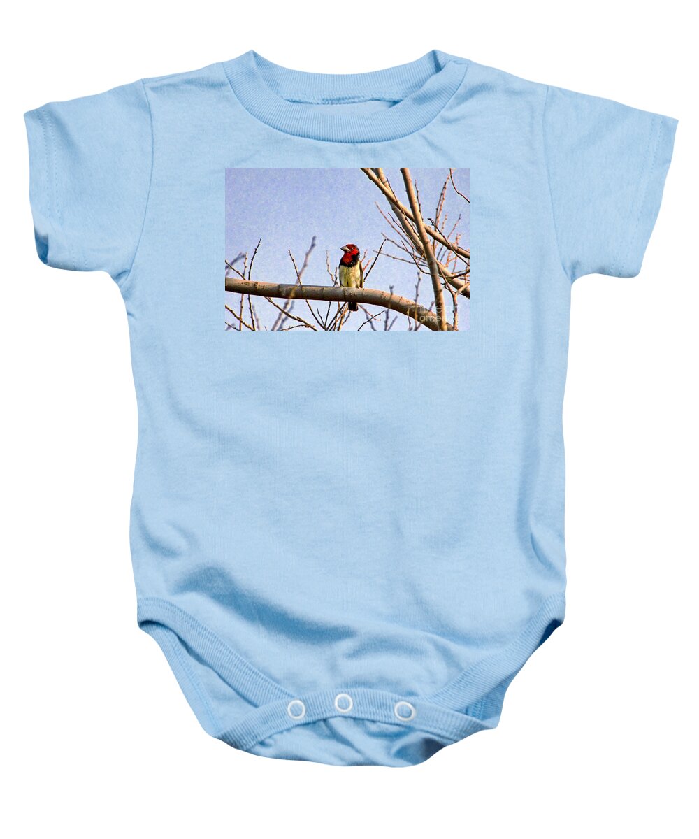 Black-collared Barbet Baby Onesie featuring the photograph Black-Colored Barbet-Africa by Douglas Barnard