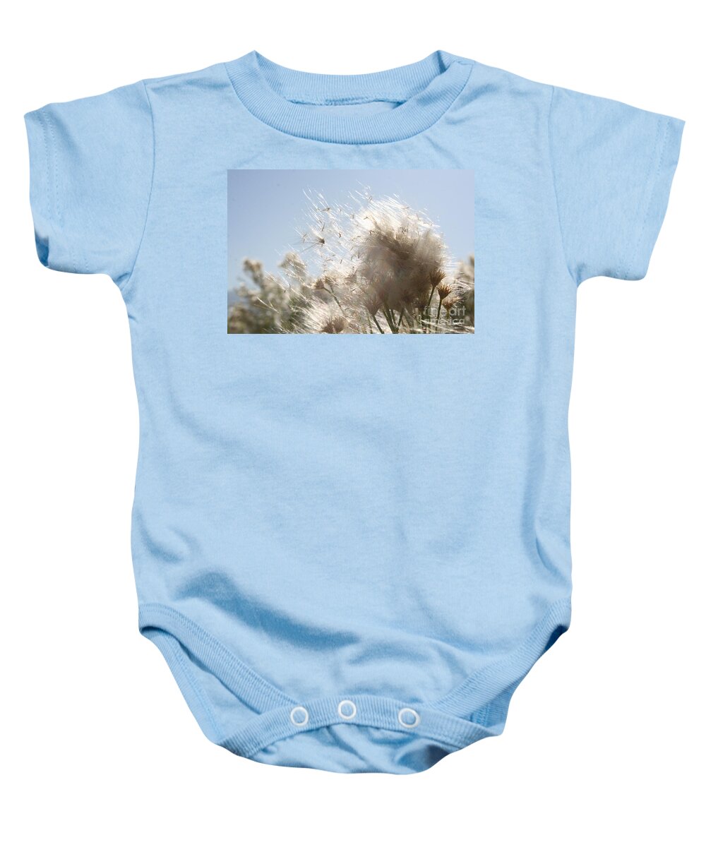 Daisy Baby Onesie featuring the photograph Blow me away by Julie Lueders 