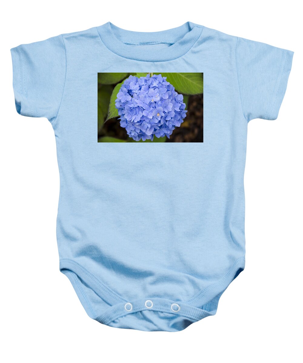 Blue Baby Onesie featuring the photograph Blue Hydrangea by Maureen E Ritter