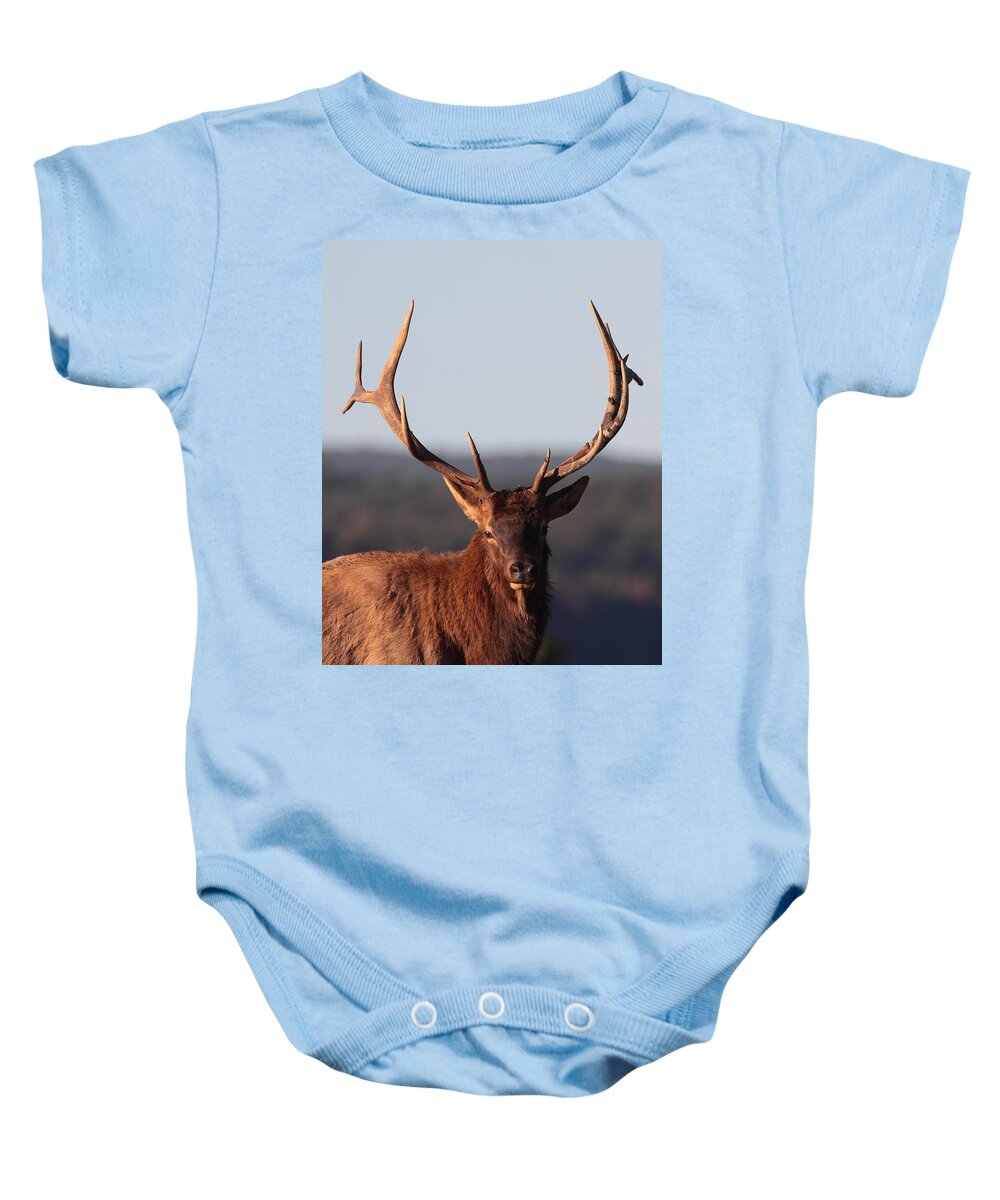 Elk Baby Onesie featuring the photograph Bull Elk Portrait by Bruce J Robinson