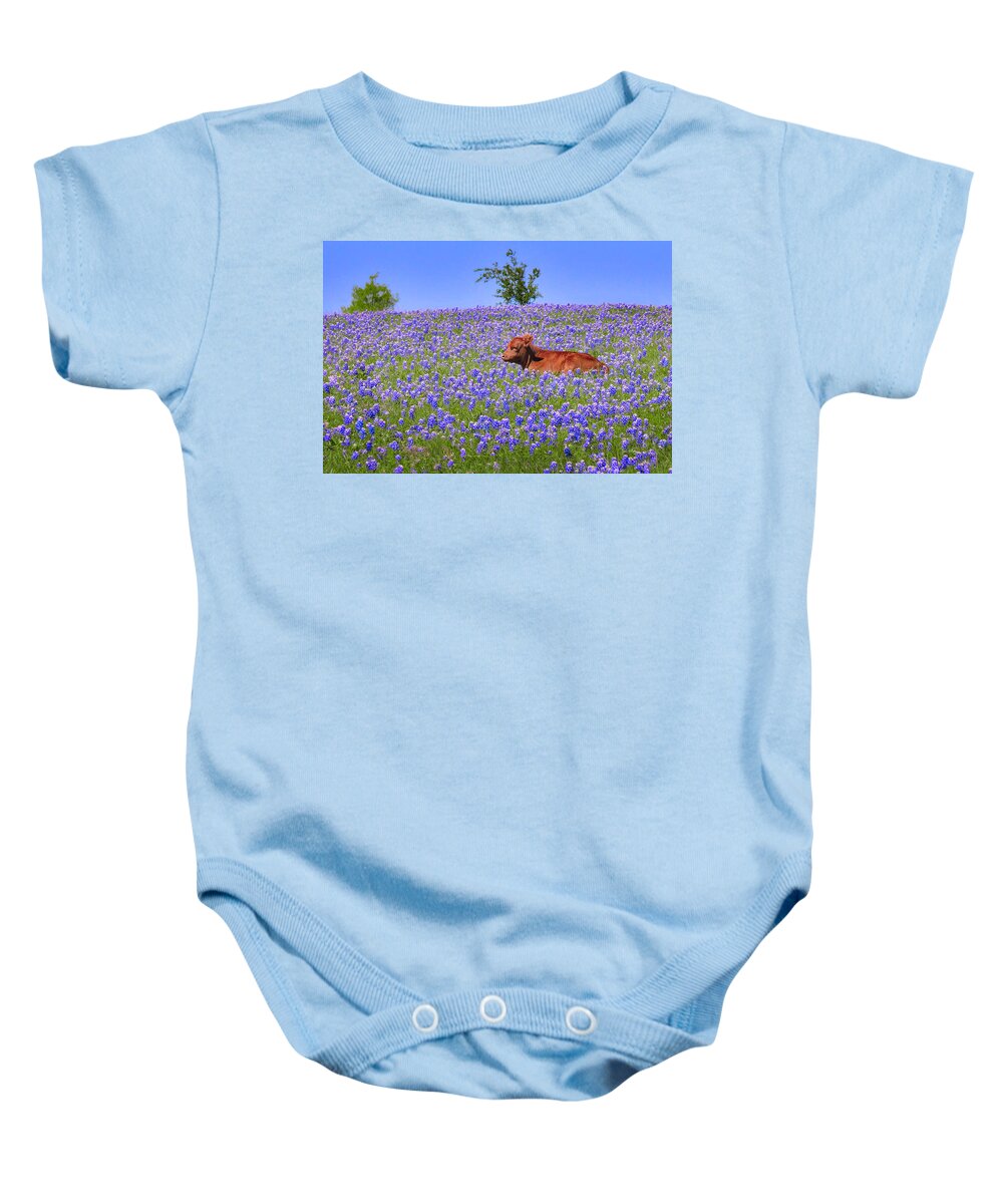 Texas Bluebonnets Baby Onesie featuring the photograph Calf Nestled in Bluebonnets - Texas Wildflowers Landscape Cow by Jon Holiday