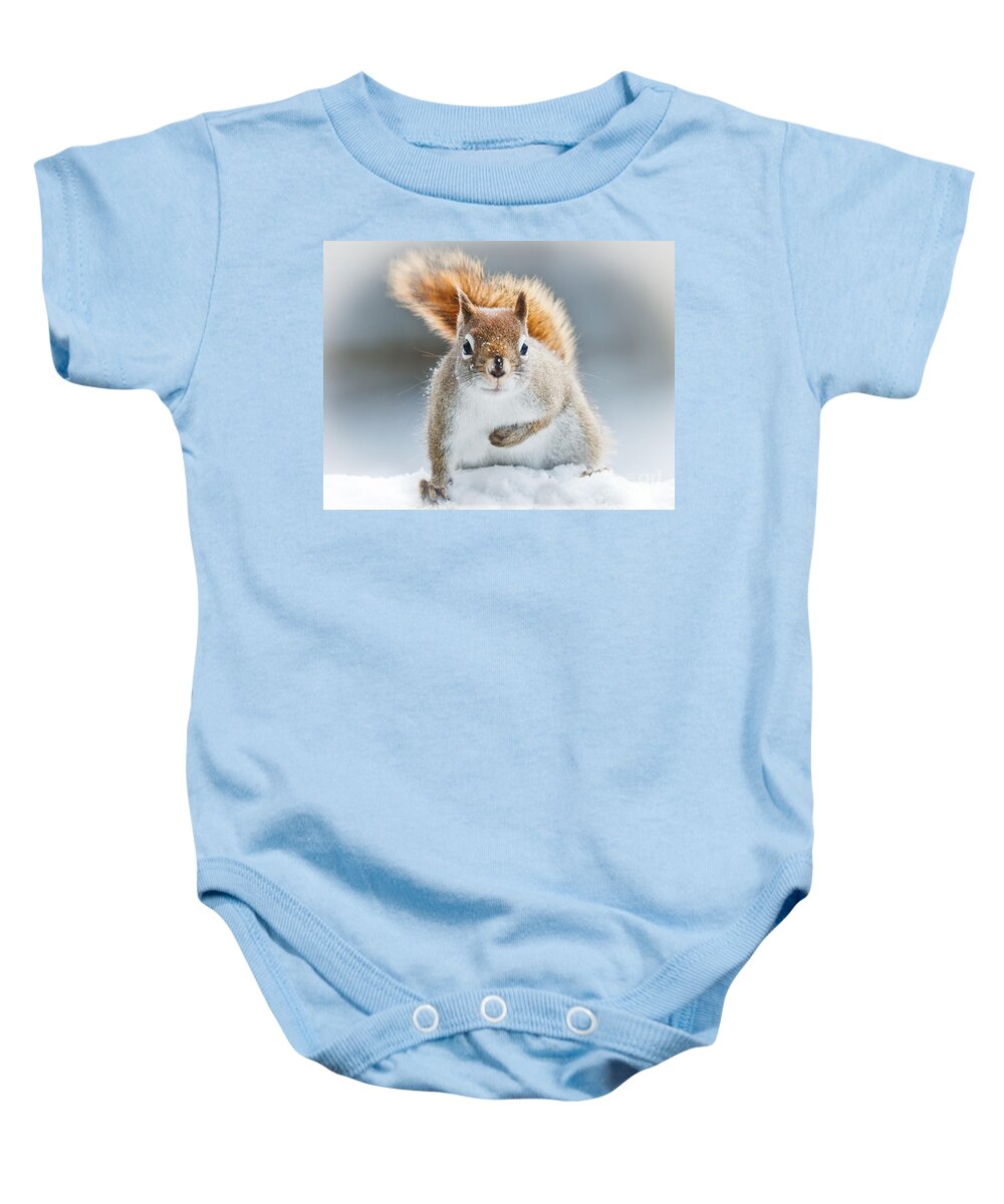 Squirrel Baby Onesie featuring the photograph Can I have some more? by Cheryl Baxter