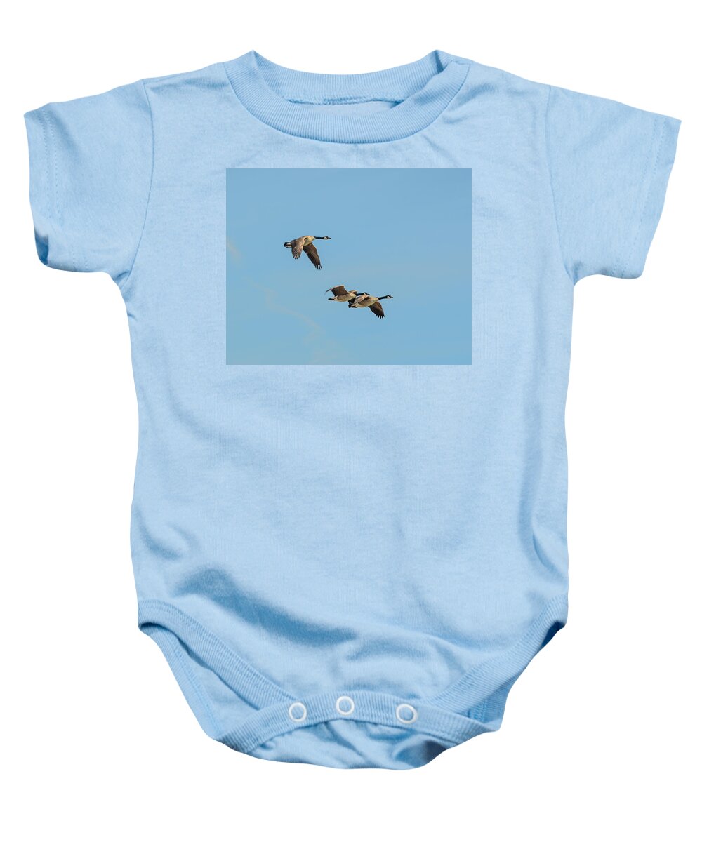 Dakota Baby Onesie featuring the photograph Canada Geese by Greni Graph