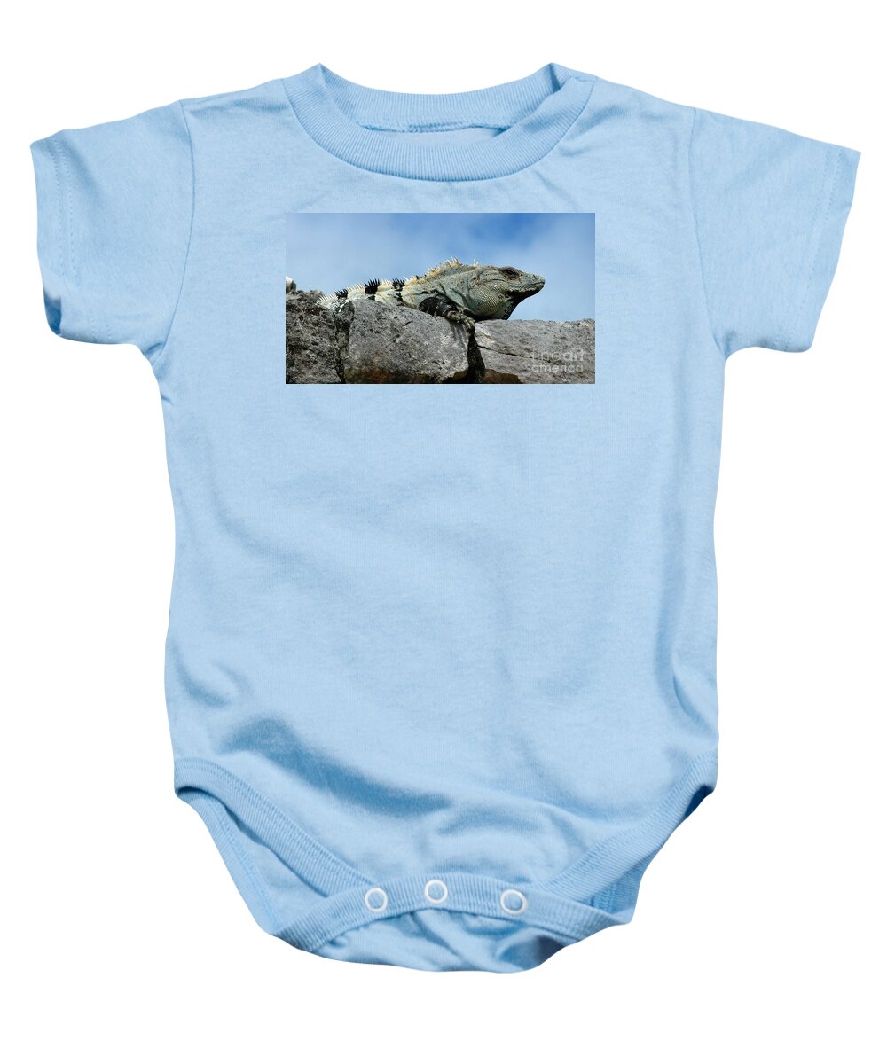 Iguana Baby Onesie featuring the photograph Catching some Rays by Vivian Christopher