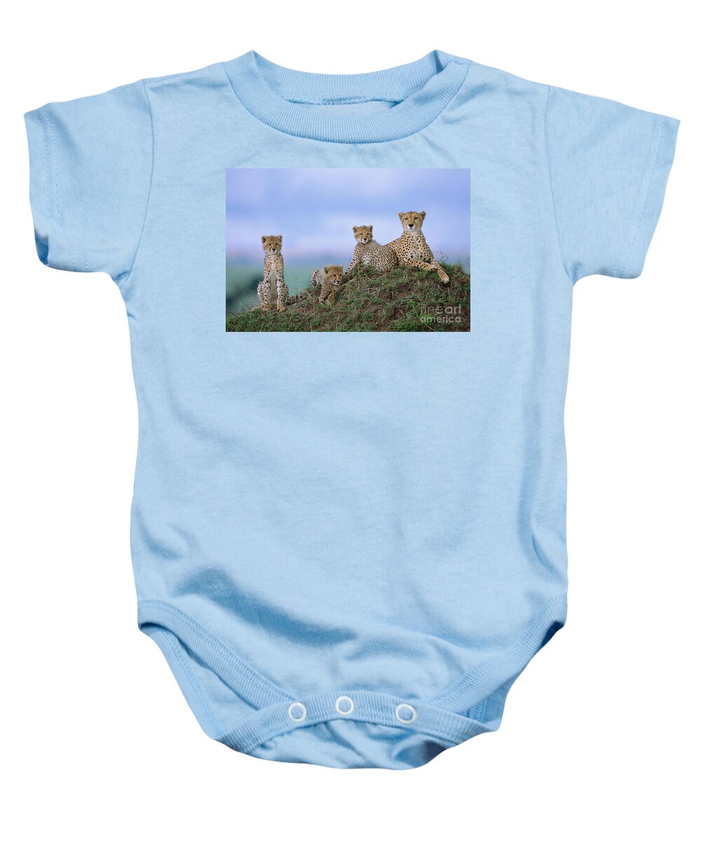 00345009 Baby Onesie featuring the photograph Cheetah Mother And Cubs in Masai Mara by Yva Momatiuk John Eastcott