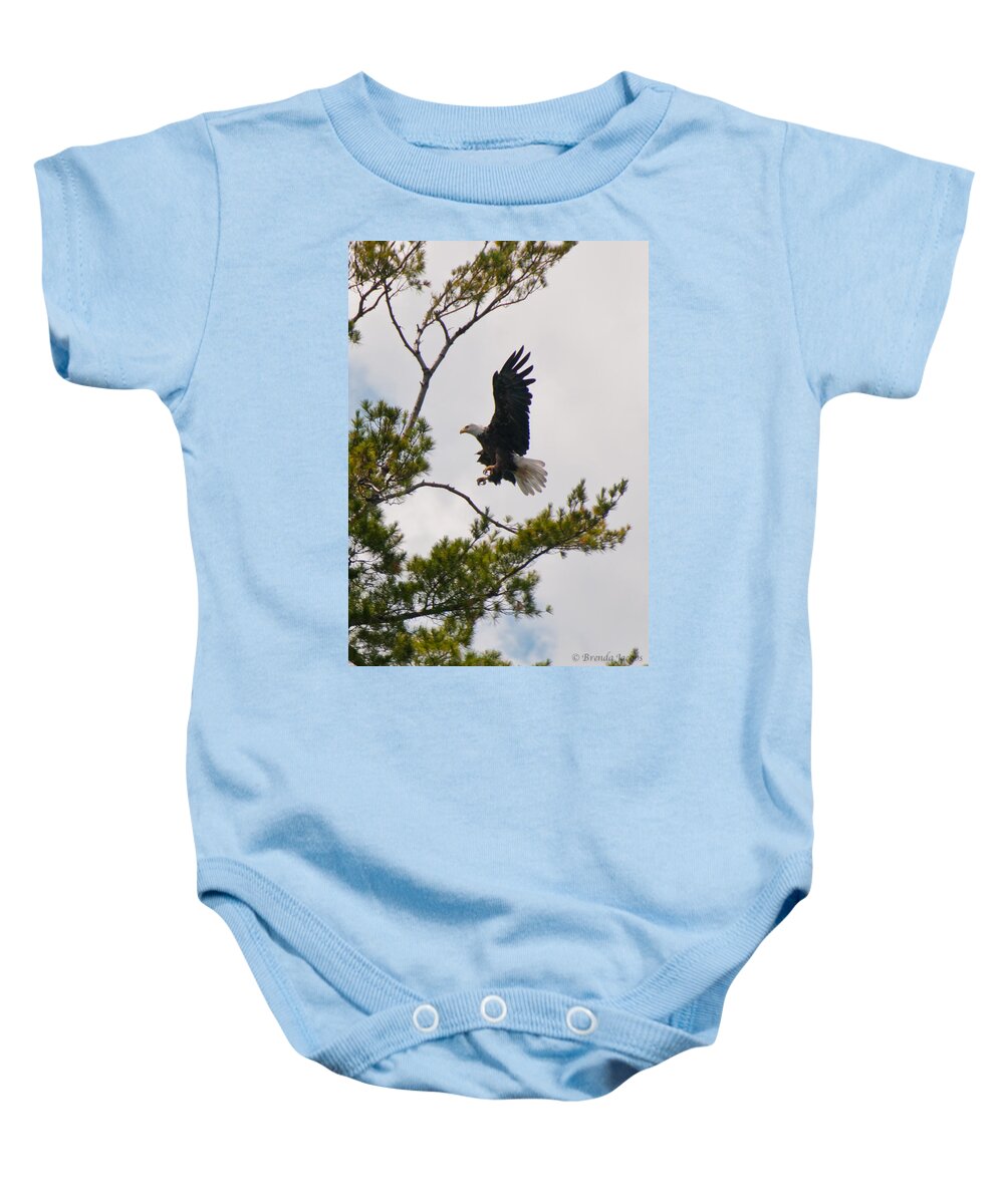 Bald Eagle Baby Onesie featuring the photograph Coming in For a Landing by Brenda Jacobs