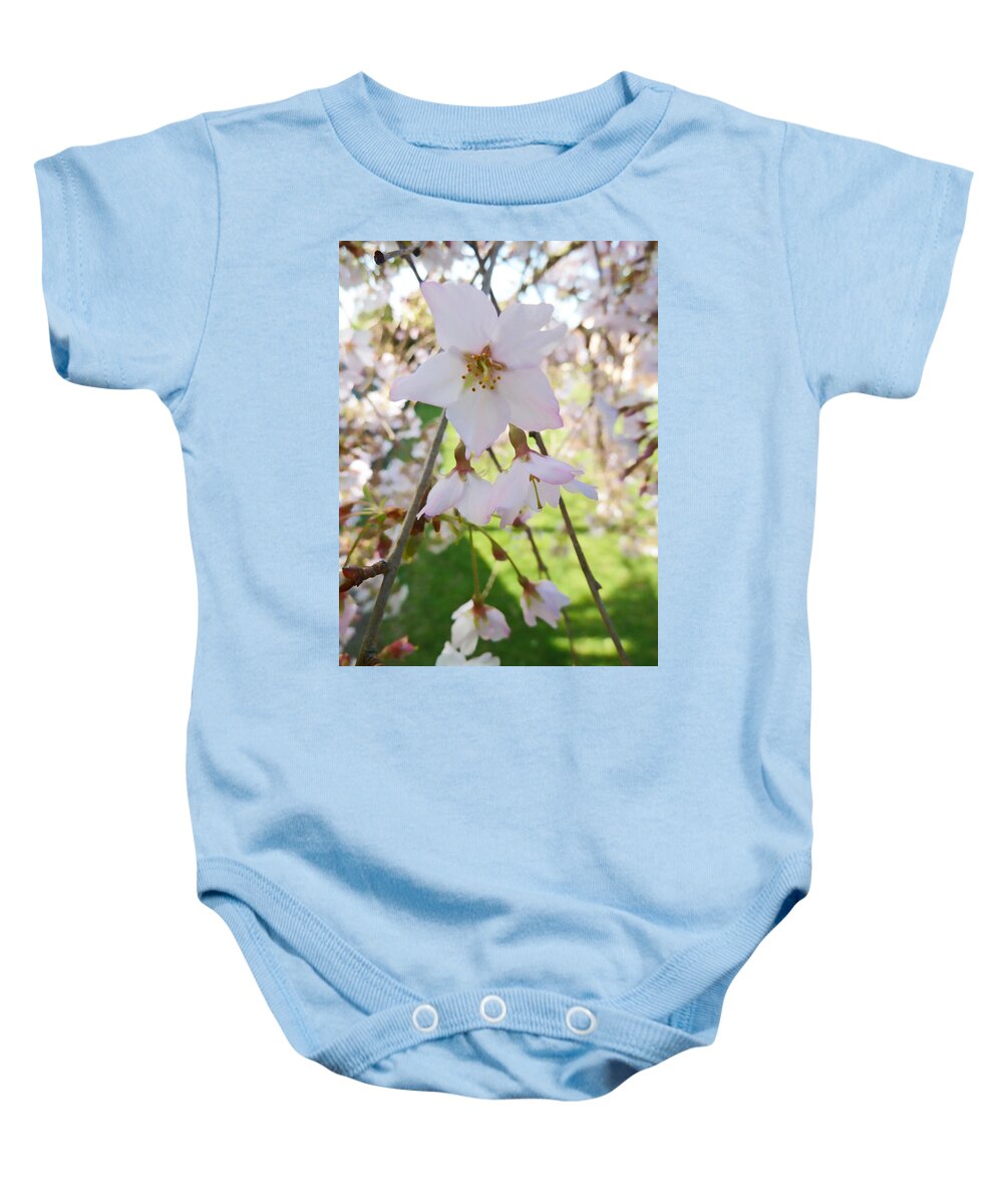 Blossom Baby Onesie featuring the photograph Conjunction by Steve Taylor