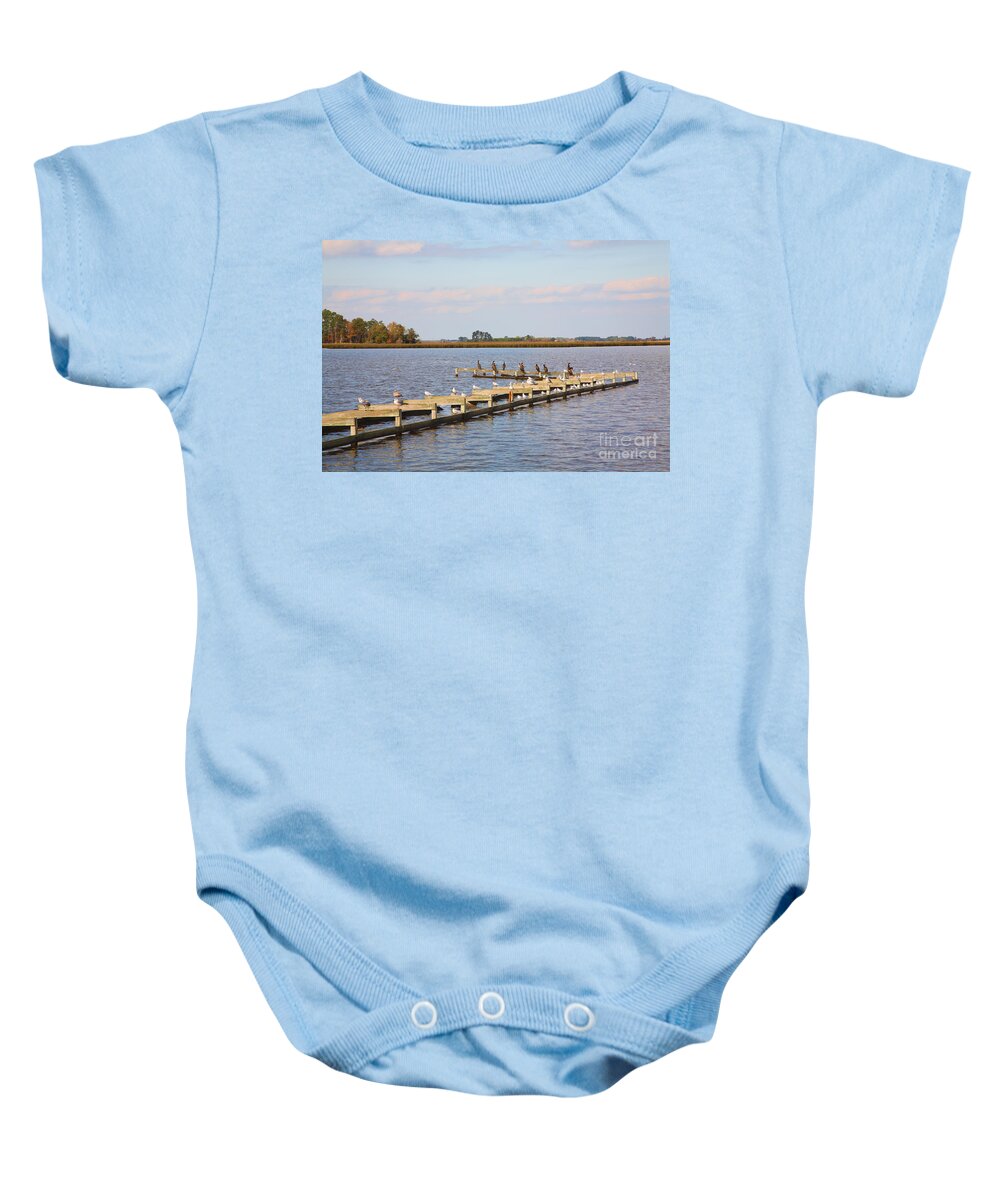 Abandoned Baby Onesie featuring the photograph Cormorants and Seagulls on Old Dock near Blackwater National Wildlife Refuge near Cambridge MD by William Kuta