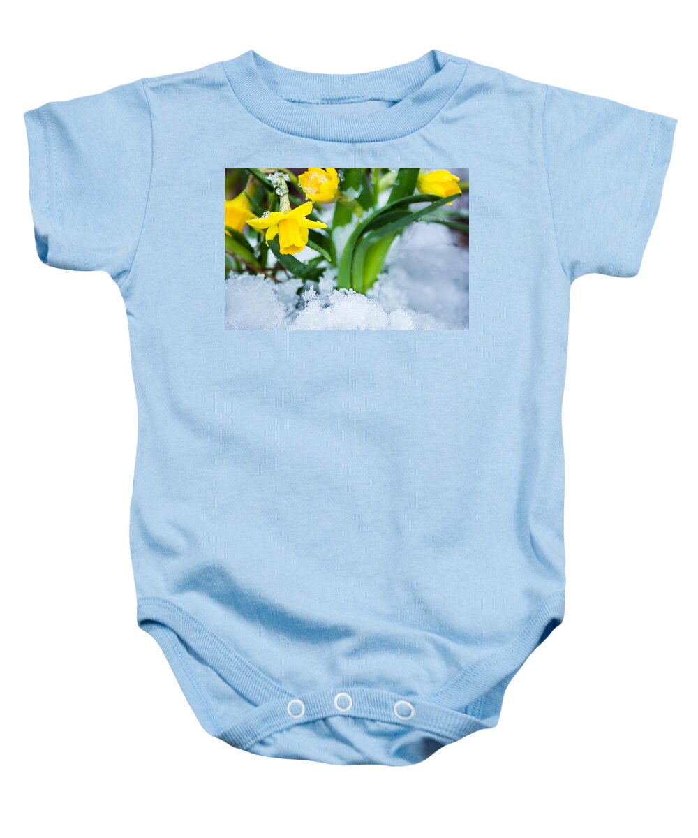 Spring Baby Onesie featuring the photograph Daffodils in the Snow by Parker Cunningham