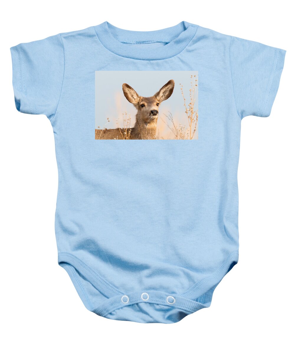 Deer Baby Onesie featuring the photograph Deer Doe Takes in the Sun by Tony Hake