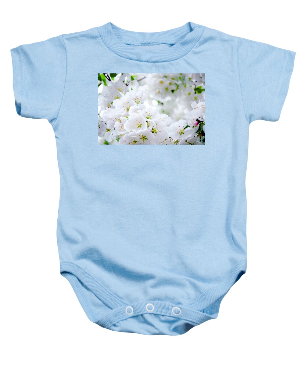 Flowers Baby Onesie featuring the photograph Depth Perception by Greg Fortier