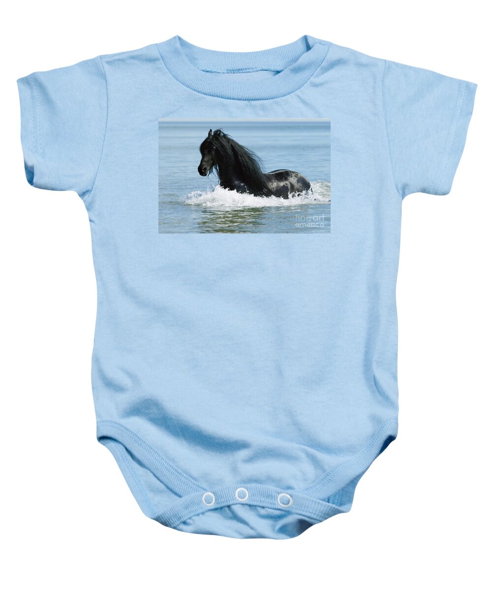 Friesian Baby Onesie featuring the photograph Friesian Horse by Gabriele Boiselle
