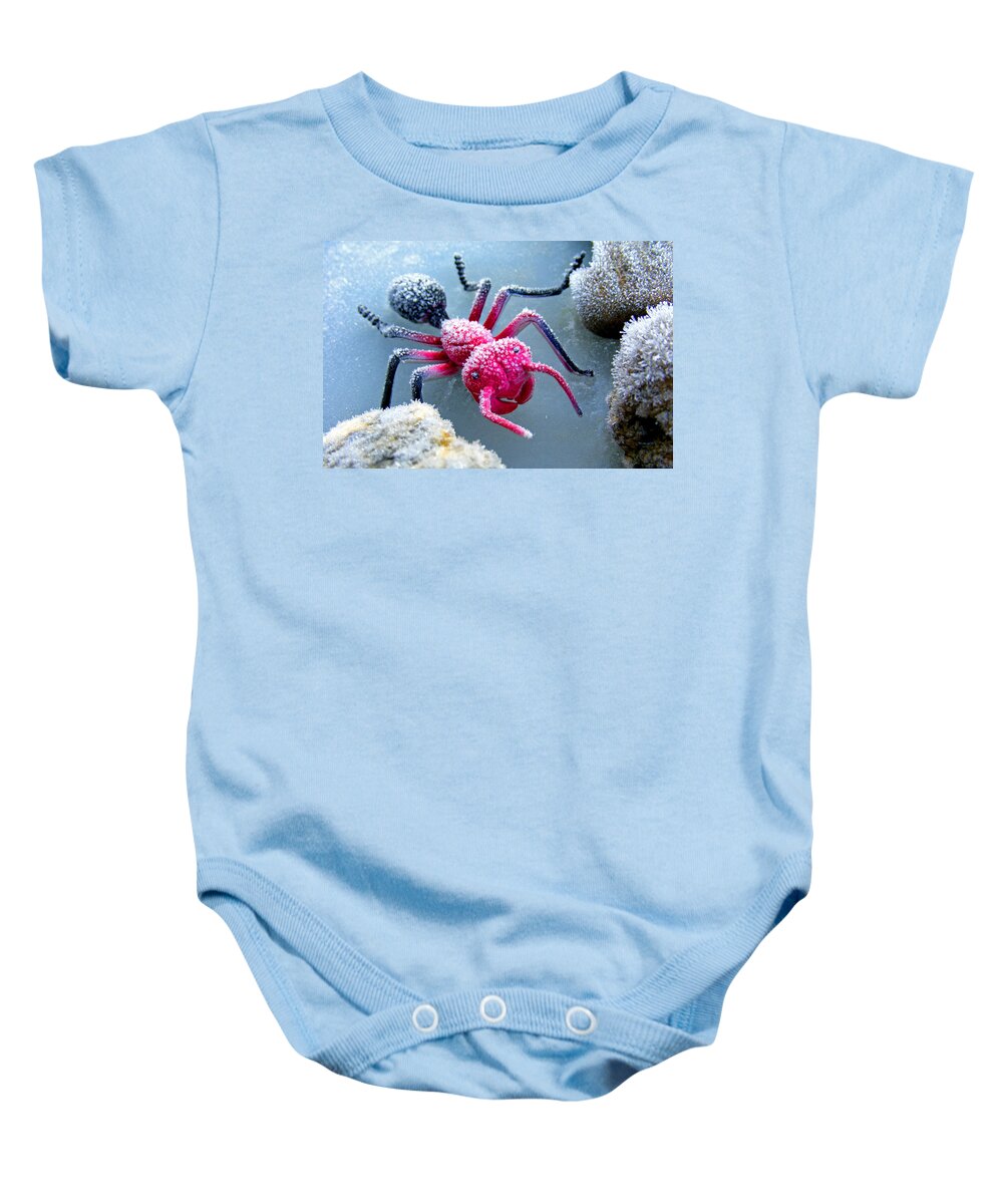 Frost Baby Onesie featuring the photograph Frosty Ant in Winter by Duane McCullough