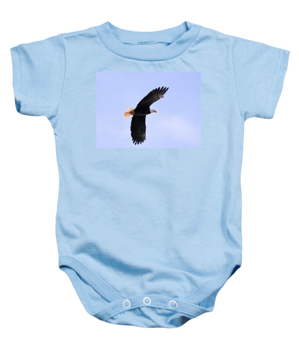 Animals Baby Onesie featuring the photograph Giving Me The Eagle Eye? by Kym Backland