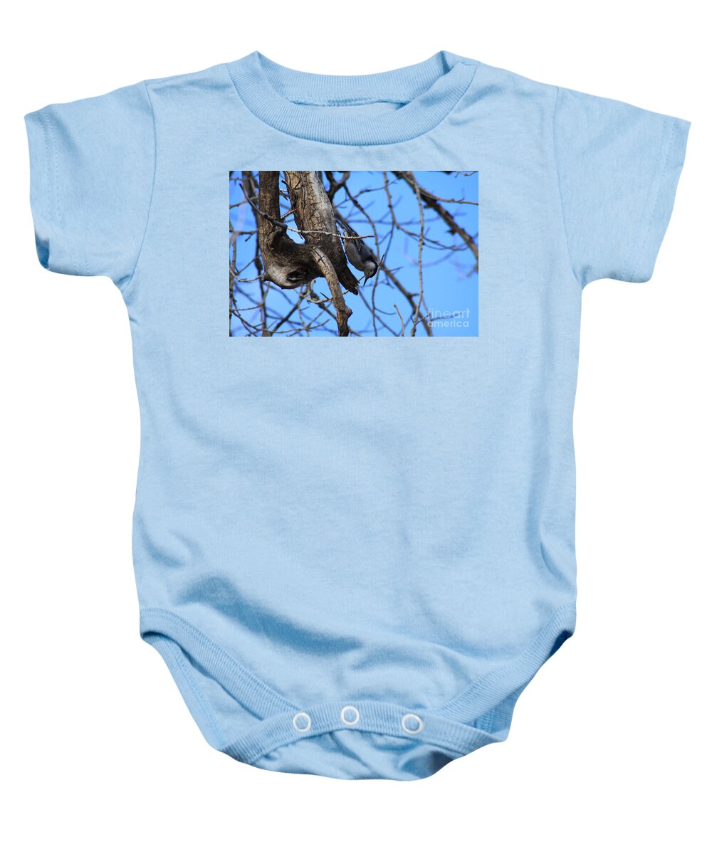 Bird Baby Onesie featuring the photograph Hanging in the Park by Alyce Taylor