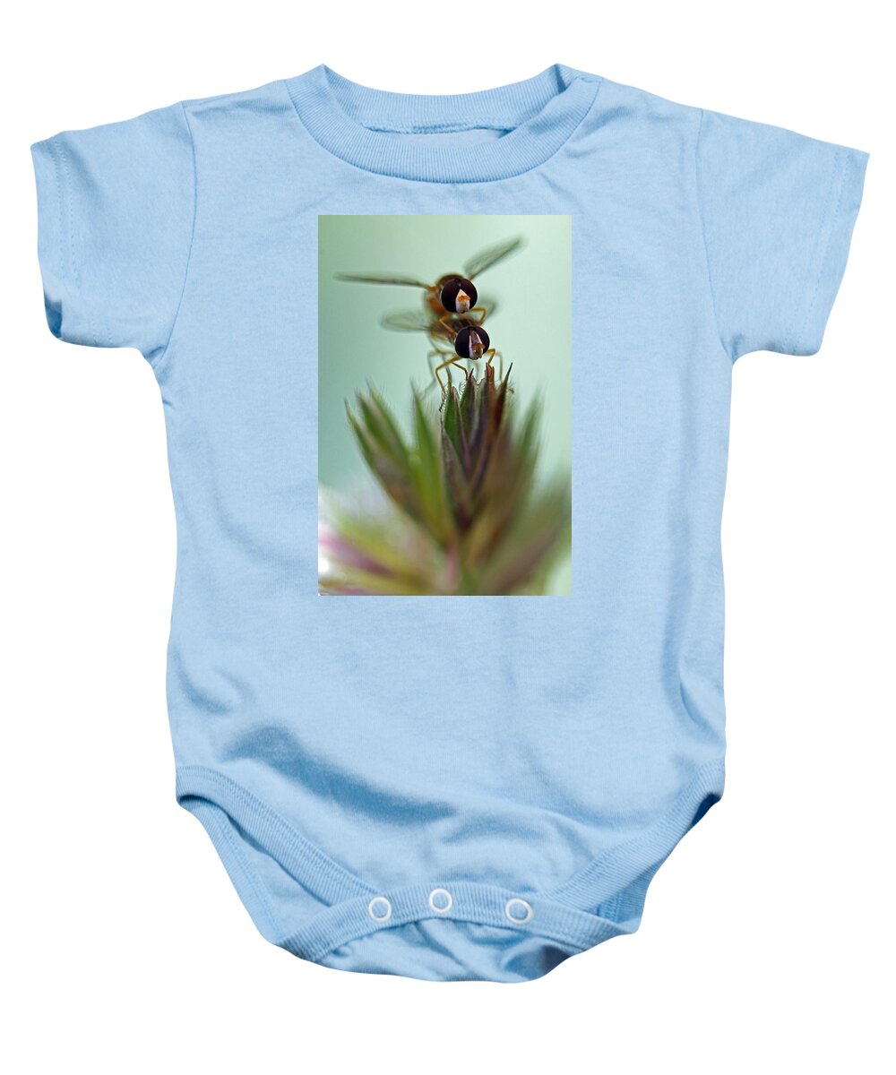 Insects Baby Onesie featuring the photograph Hover Bugs by Jennifer Robin