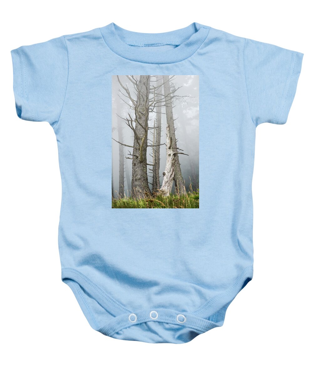 Dead Baby Onesie featuring the photograph Leafless Trees In The Fog Cannon by Robert L. Potts