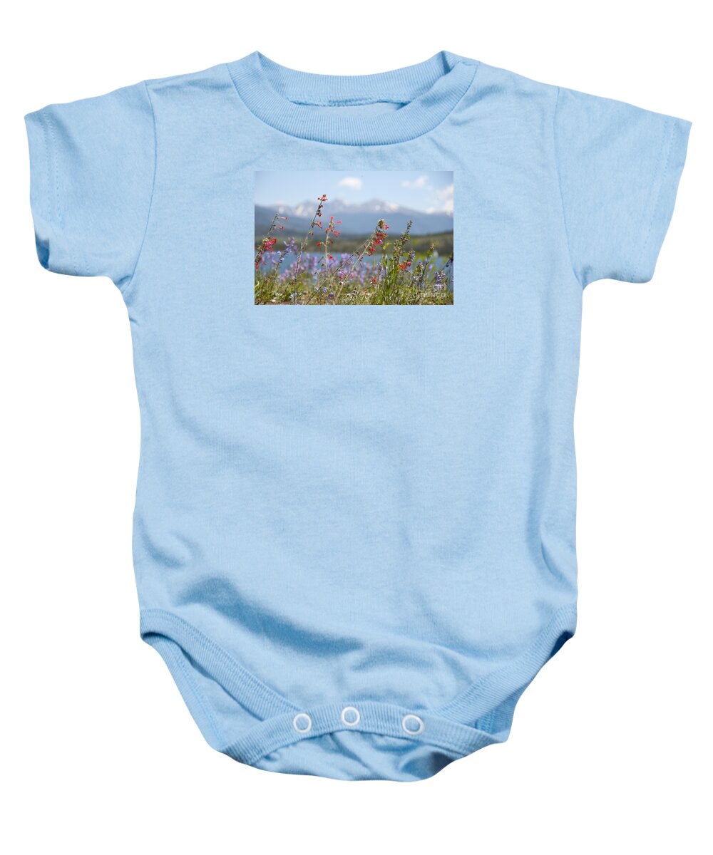 Botanic Baby Onesie featuring the photograph Mountain Wildflowers by Juli Scalzi