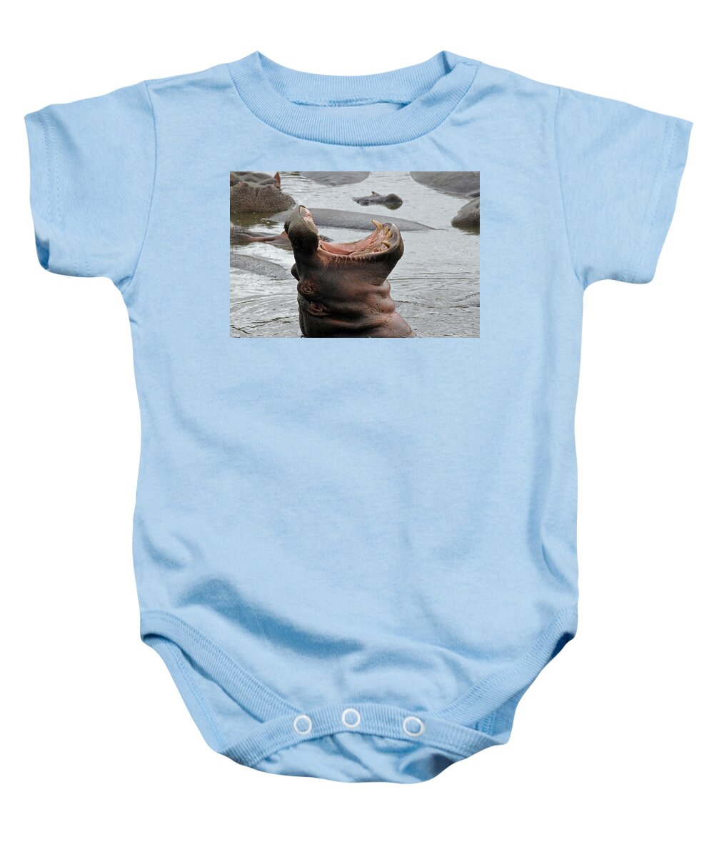 Hippo Baby Onesie featuring the photograph Mouth wide open by Tony Murtagh