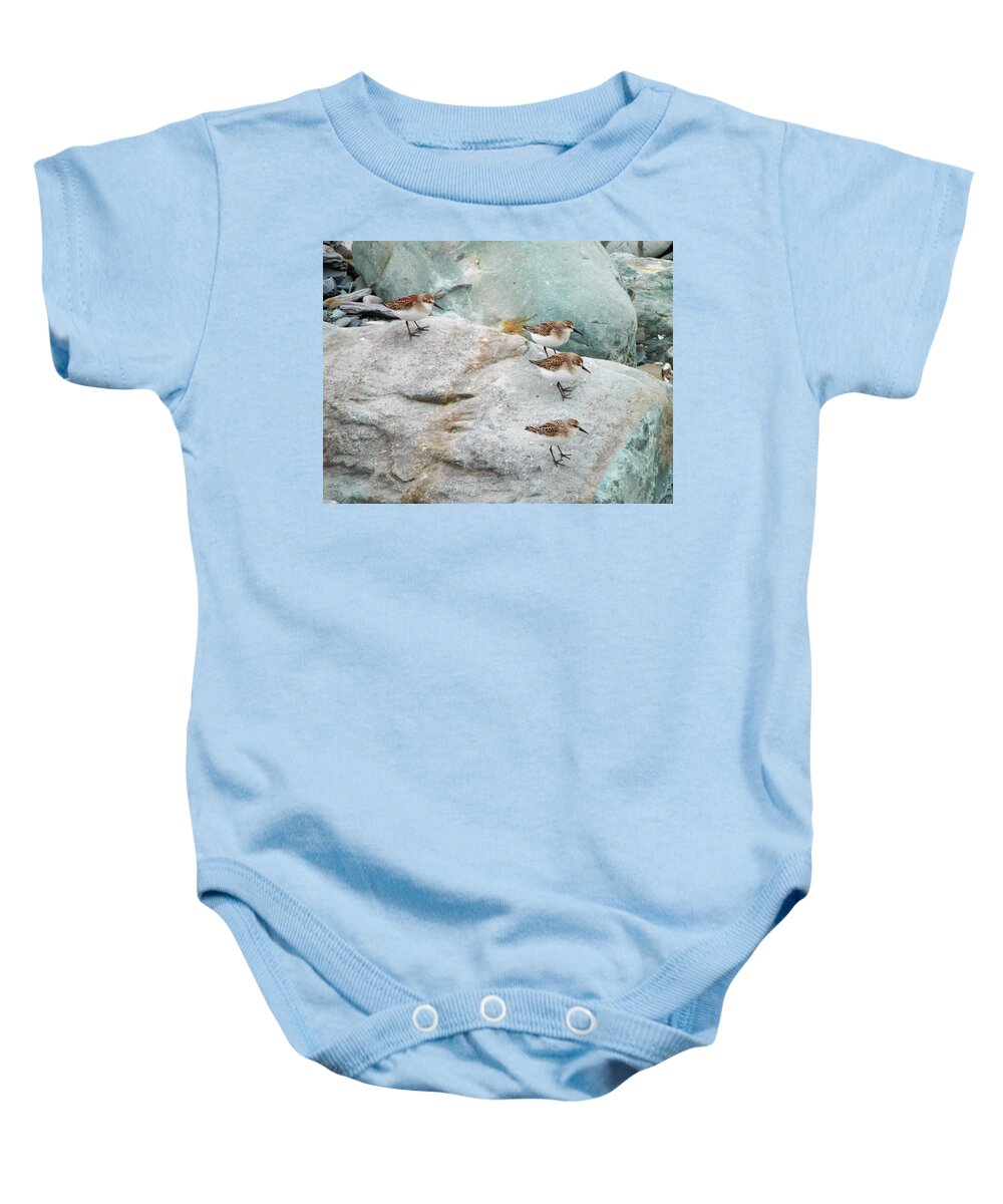 Birds Baby Onesie featuring the photograph One And Three by Zinvolle Art