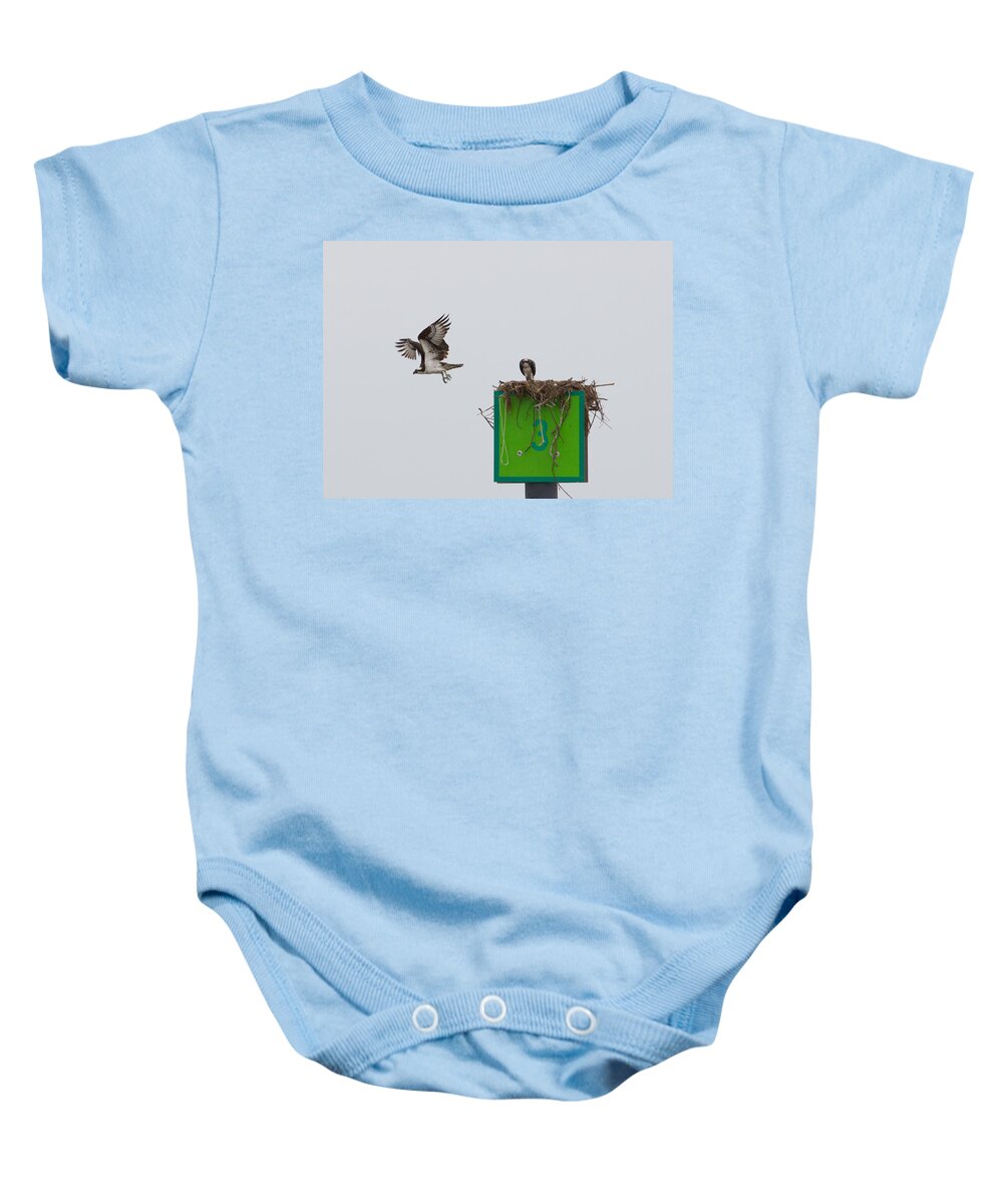 Chesapeake Bay Baby Onesie featuring the photograph Osprey in Flight by Leah Palmer