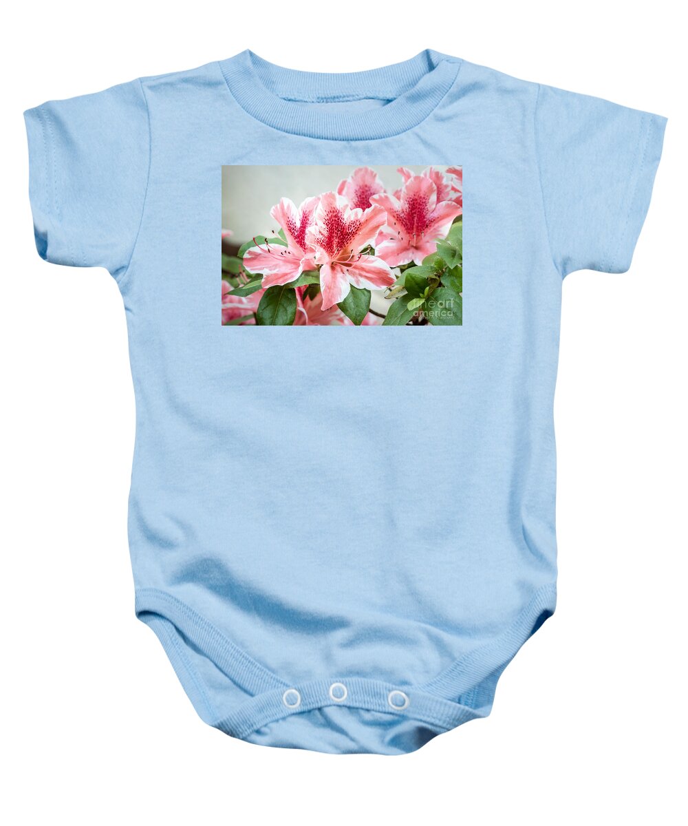 Flowers Baby Onesie featuring the photograph Pink Azaleas by Todd Blanchard