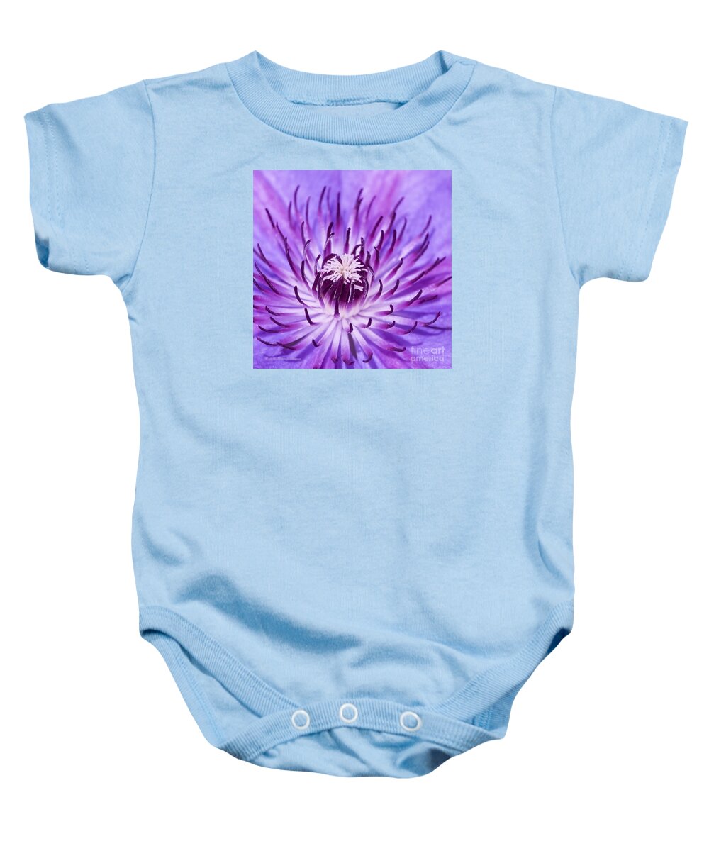 Clematis Baby Onesie featuring the photograph Purple Clematis by Richard J Thompson 