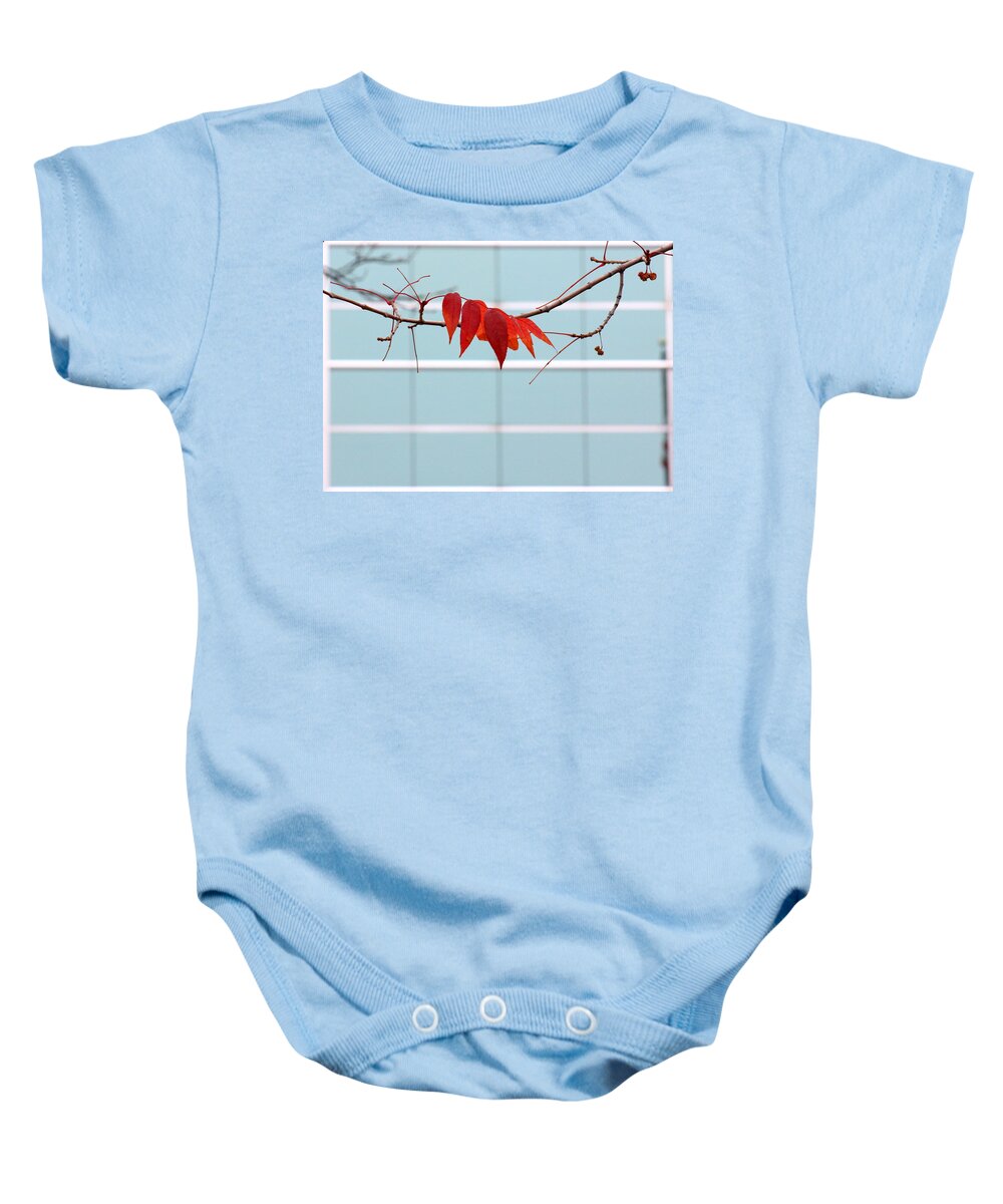 Red Leaves Baby Onesie featuring the photograph Red Leaves by Viviana Nadowski