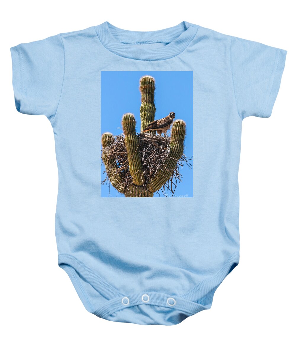 Buteo Jamaicensis Baby Onesie featuring the photograph Red-tailed Hawk by Robert Bales