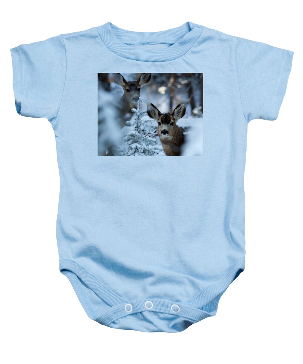 Mule Deer Photograph Baby Onesie featuring the photograph Somebody to Watch Over Me by Jim Garrison