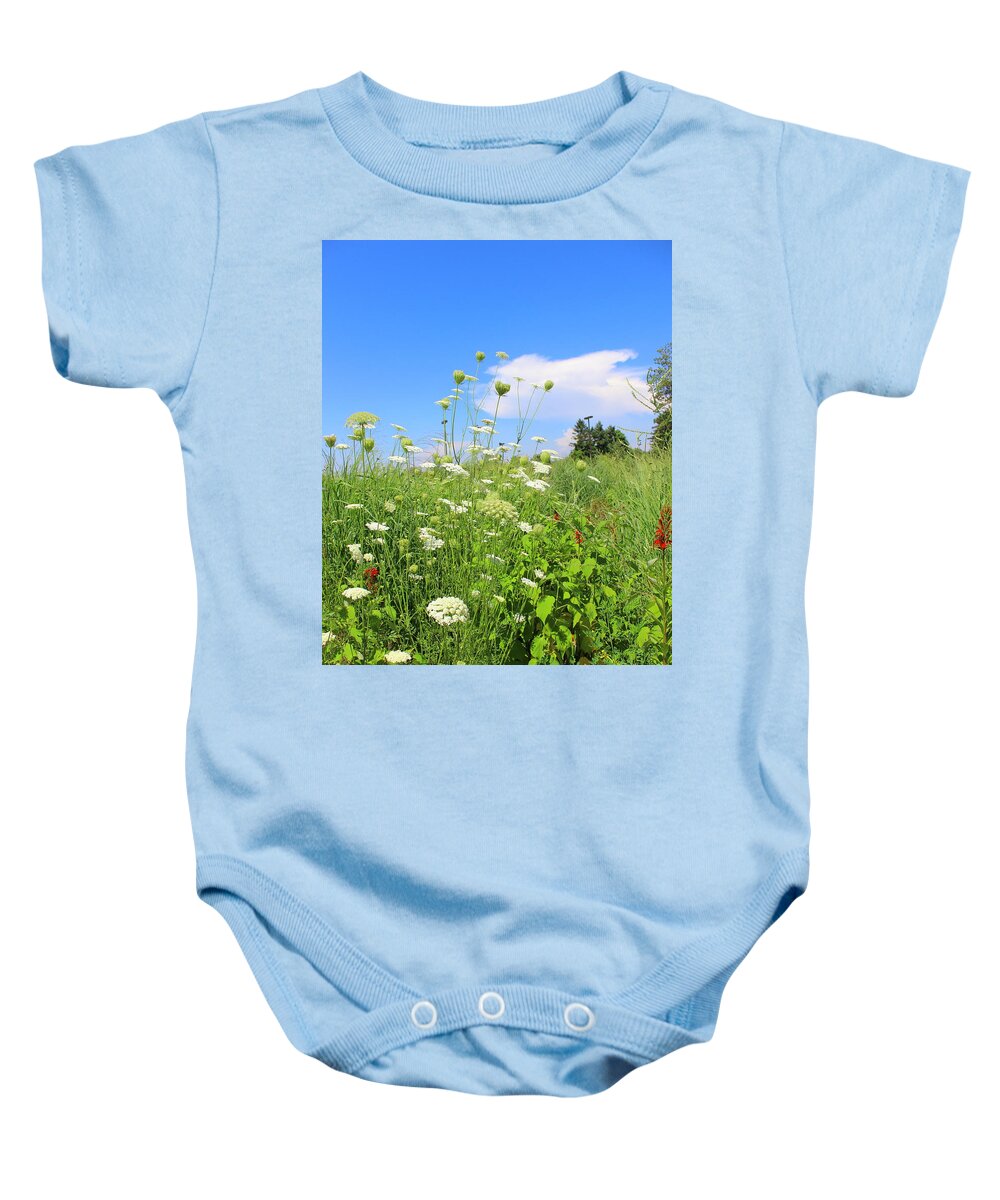 Views Baby Onesie featuring the photograph Summer Wildflowers by Kume Bryant